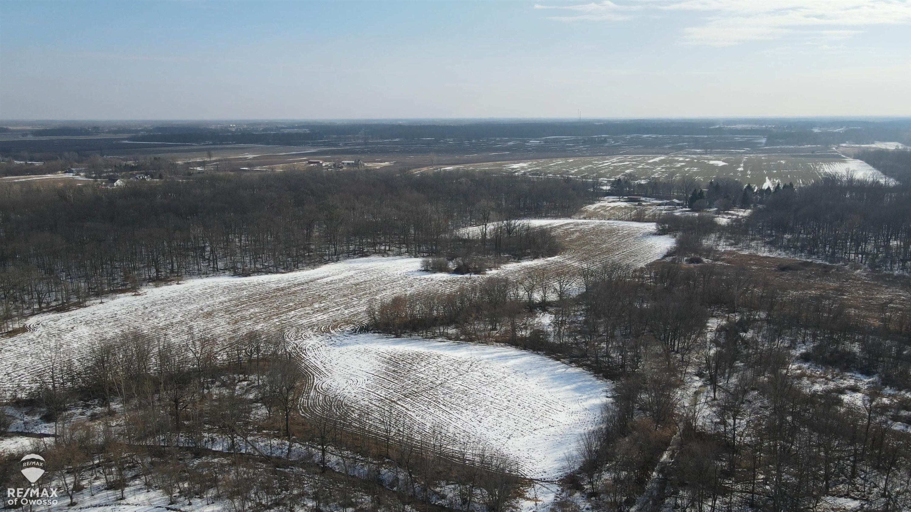 Lovejoy Road, Perry, MI 48872 — Photo 5