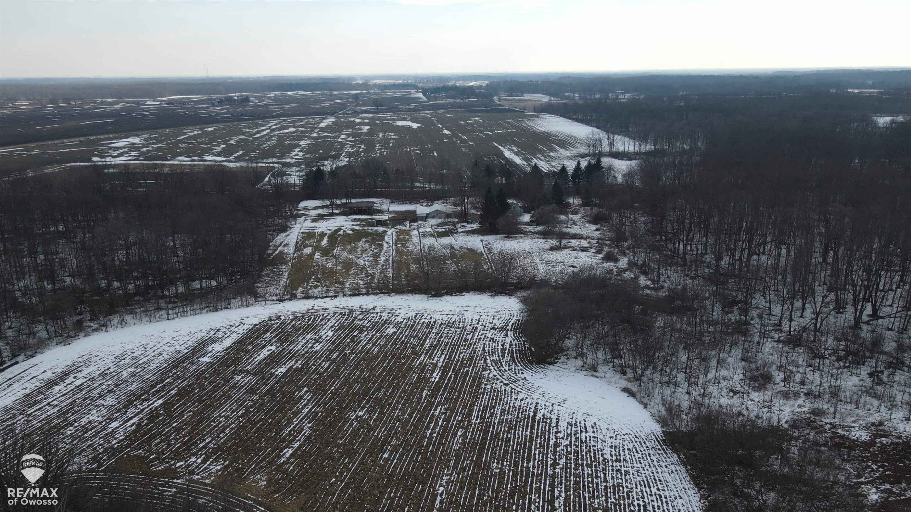 Lovejoy Road, Perry, MI 48872 — Photo 7
