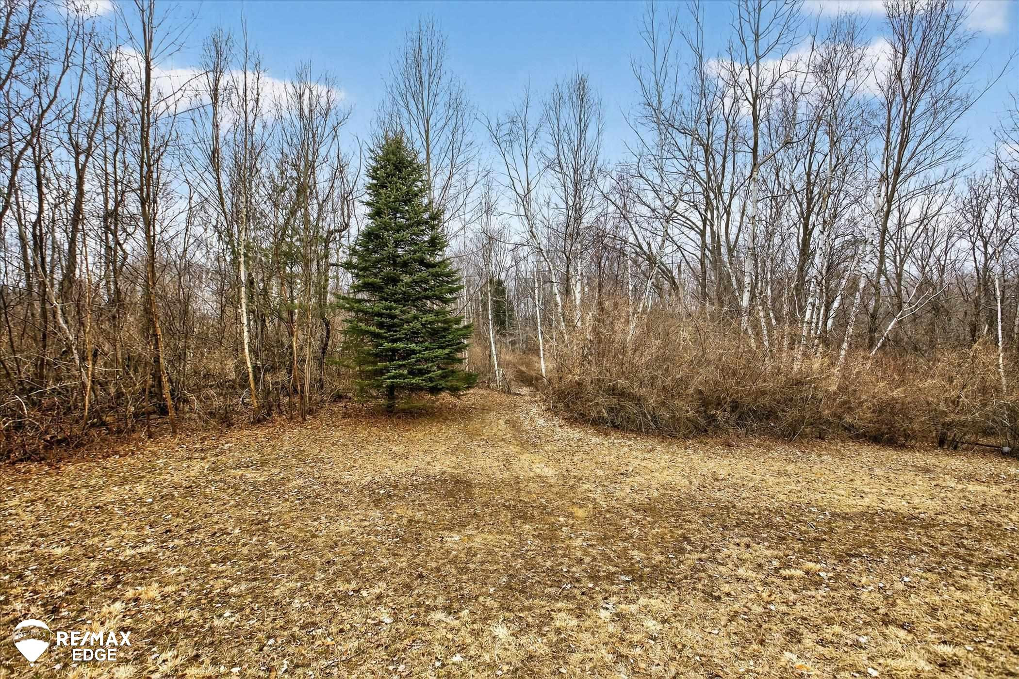 6385 Mayville Road, Clifford, MI 48727 — Photo 37