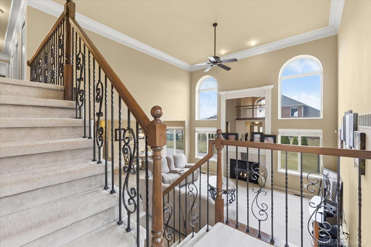 51381 Mauro Lane, MI 48042 — Photo 16
