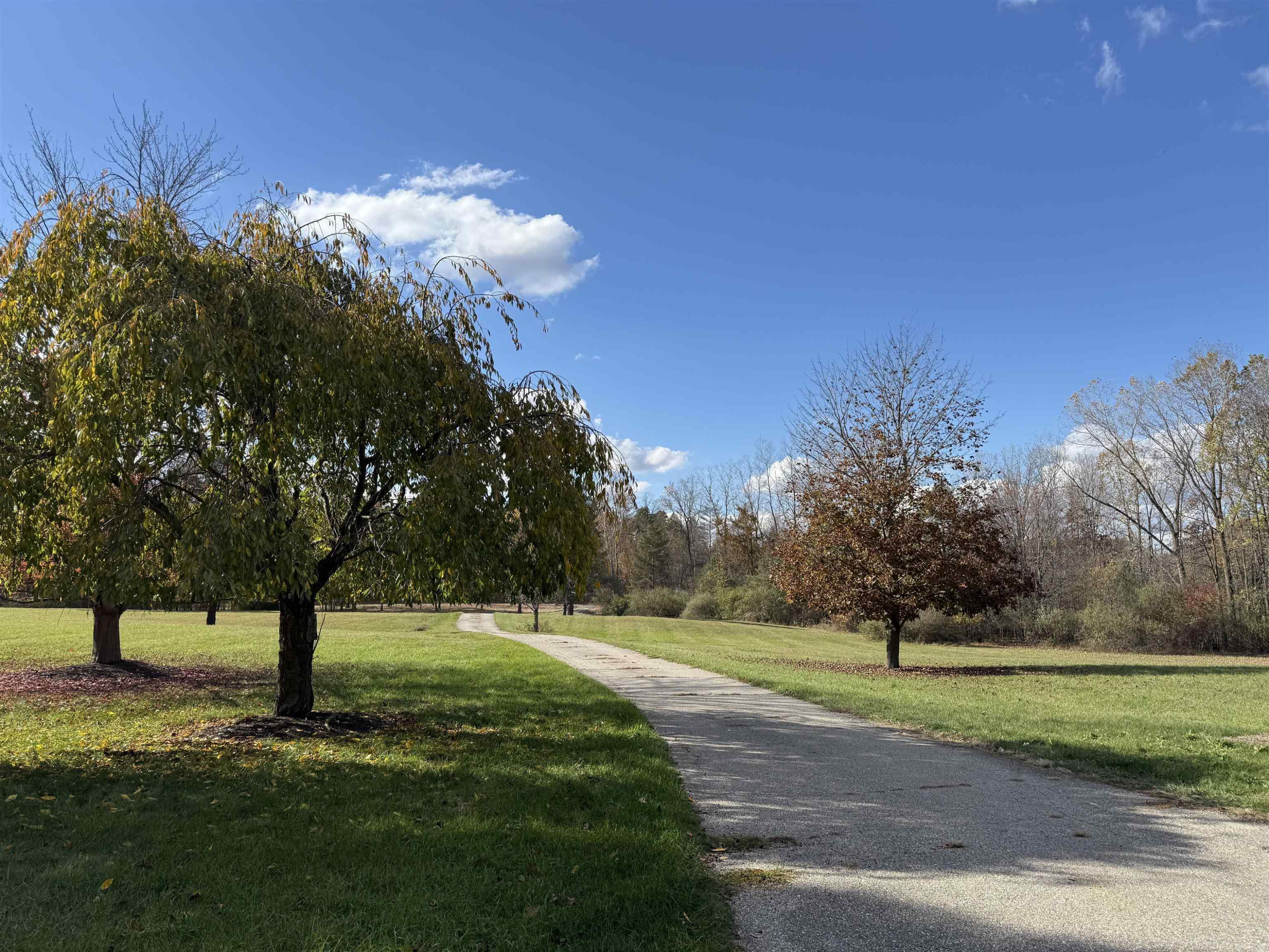 2344 Brewer Road, Howell, MI 48843 — Photo 2