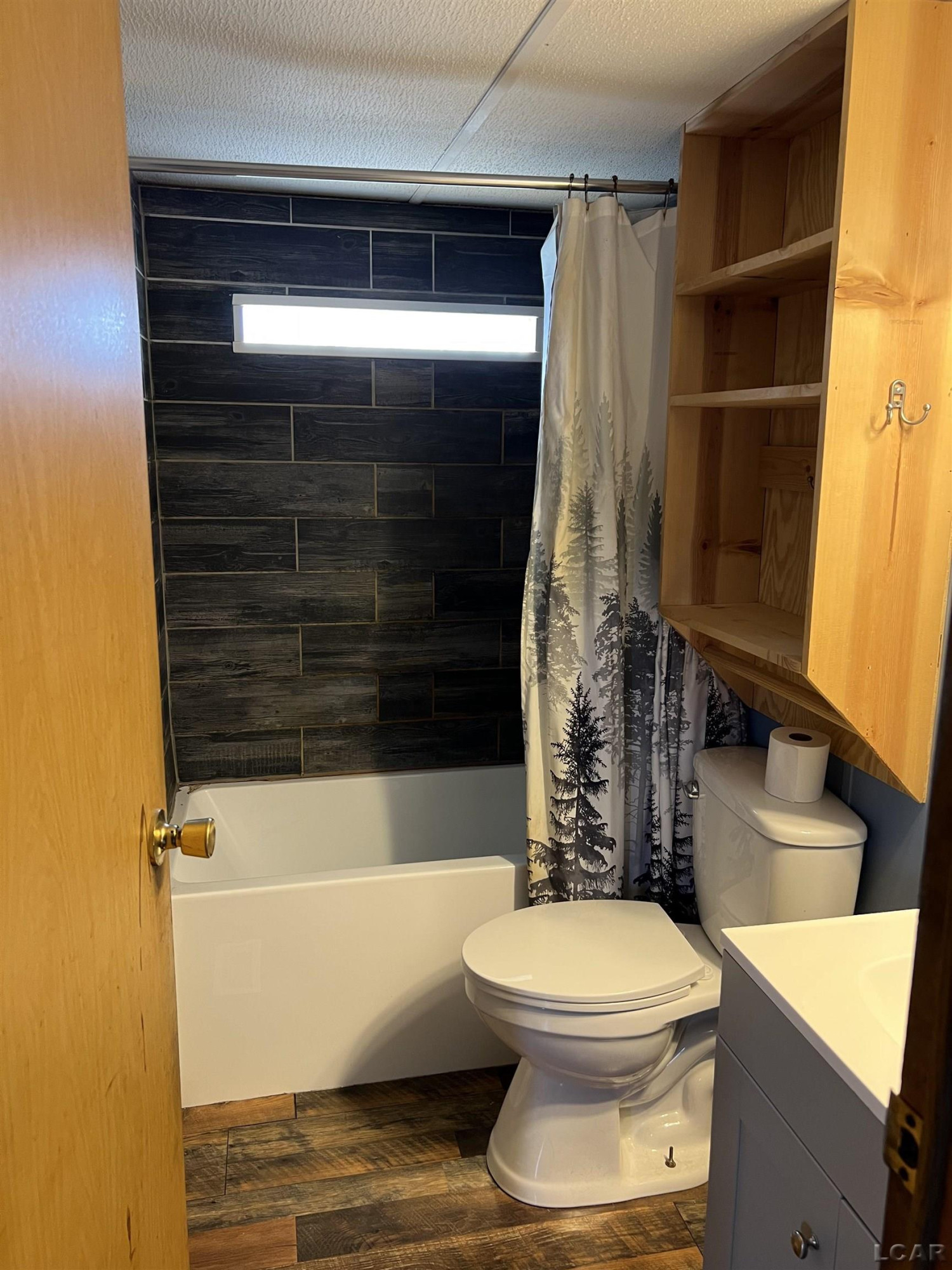 14140 Church Road, Hudson, MI 49247 — Photo 3