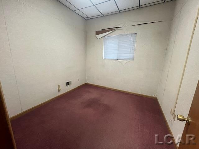 311 W Adrian Street, Blissfield, MI 49228 — Photo 10