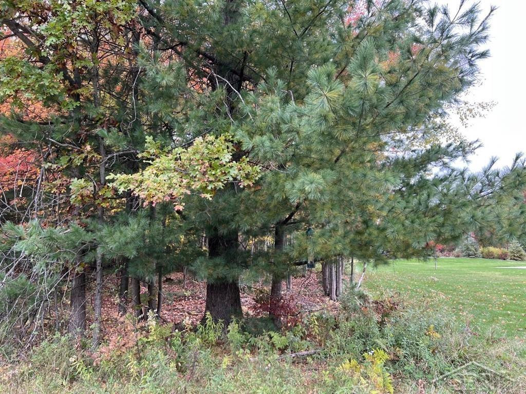 5719 Foxfire Drive, Midland, MI 48642 — Photo 6