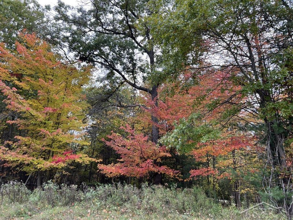 5719 Foxfire Drive, Midland, MI 48642 — Photo 8