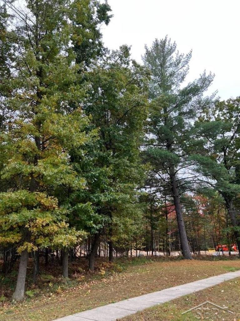 5719 Foxfire Drive, Midland, MI 48642 — Photo 9
