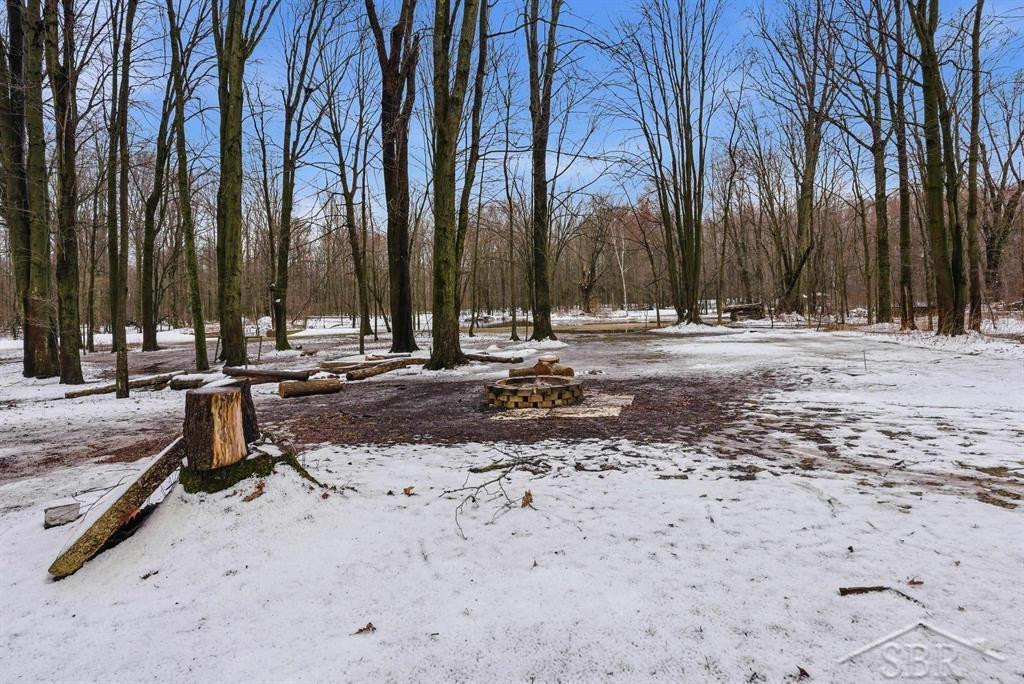 2647 W Huckleberry Road, Sanford, MI 48657 — Photo 27