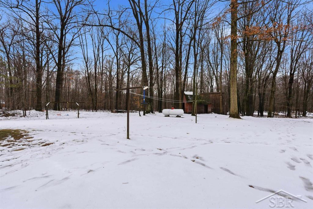 2647 W Huckleberry Road, Sanford, MI 48657 — Photo 29