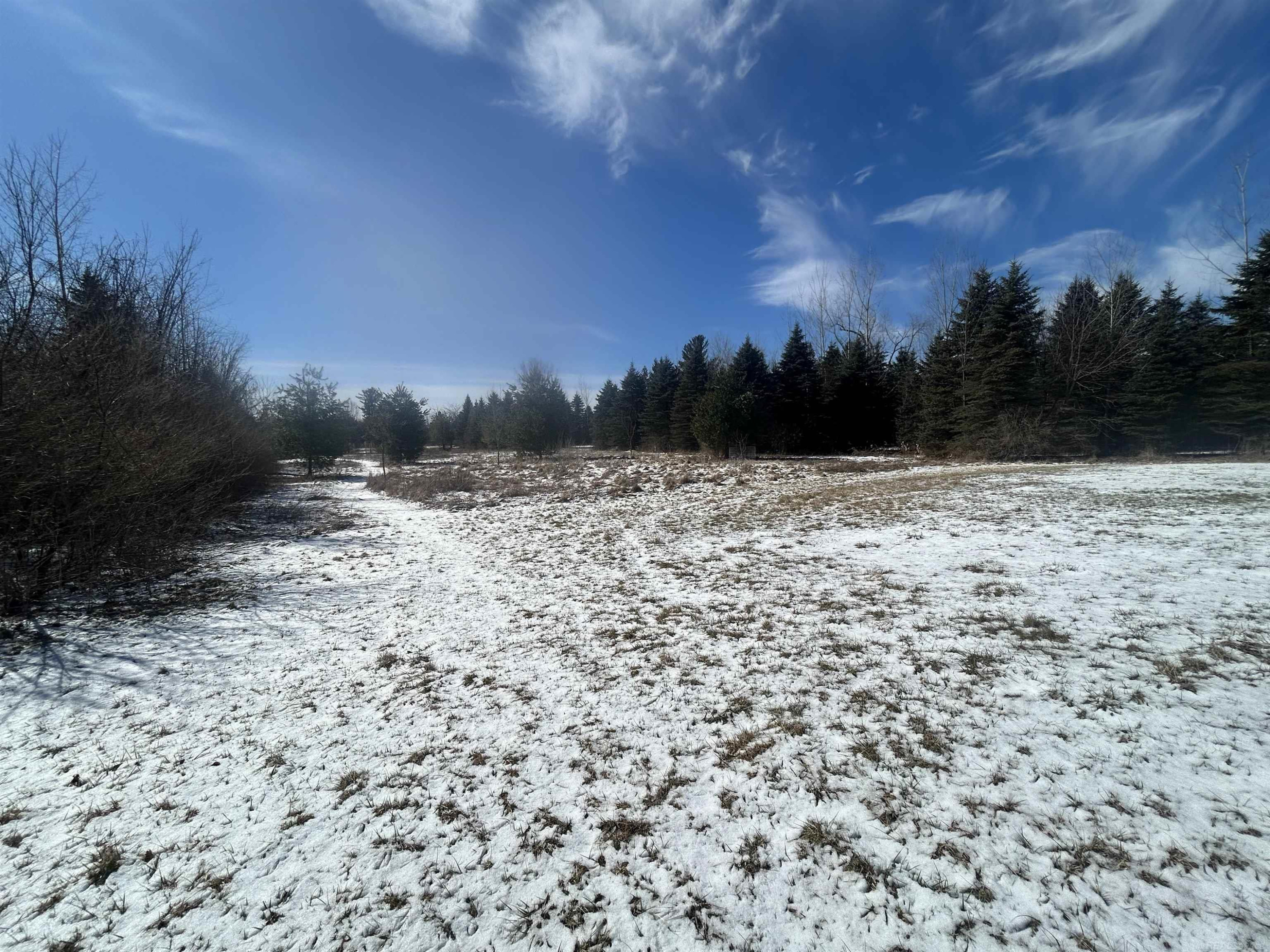 1712 Mt. Forest Road, Pinconning, MI 48650 — Photo 6
