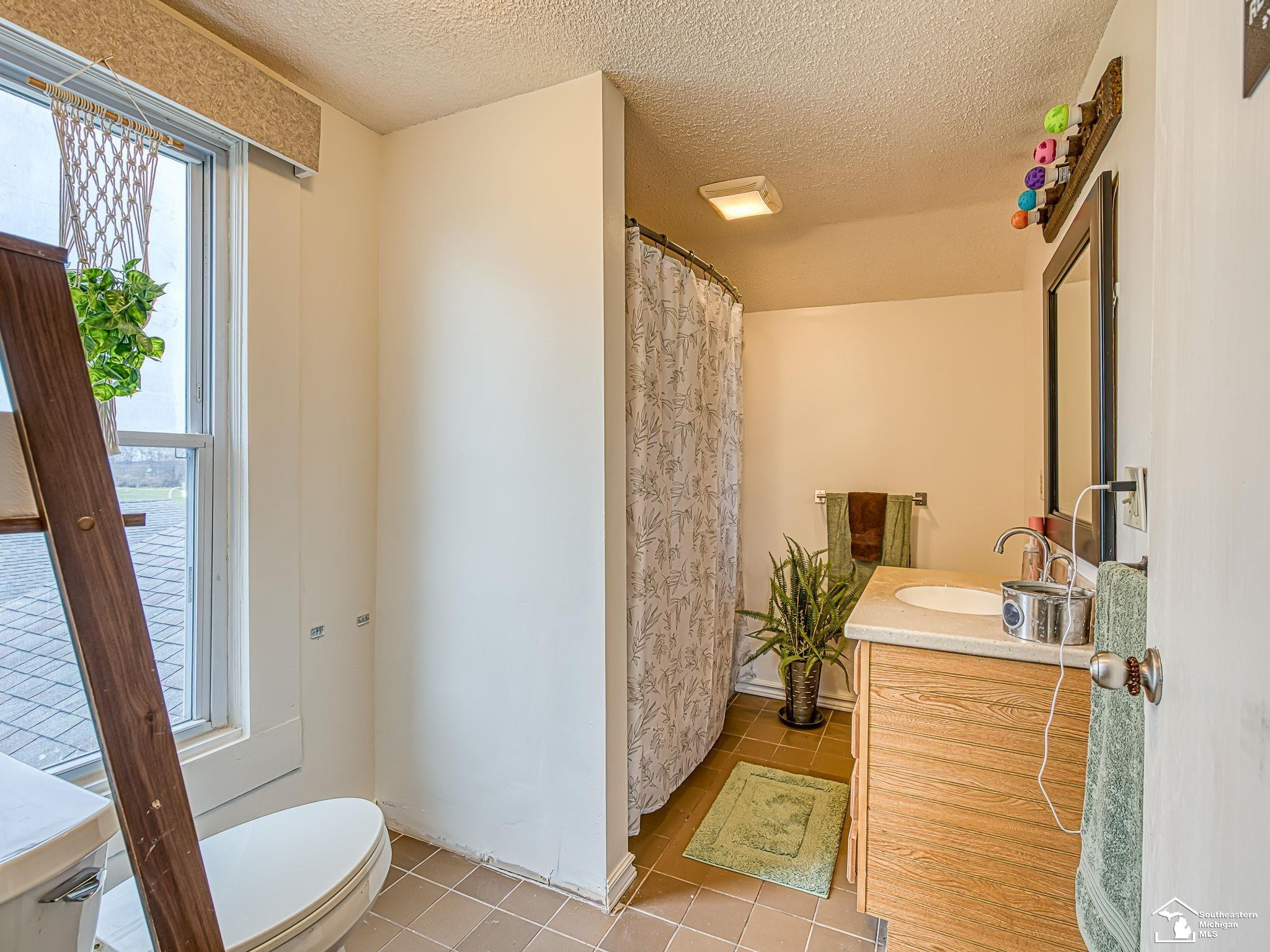 4180 Lewis Avenue, Ida, MI 48140 — Photo 8