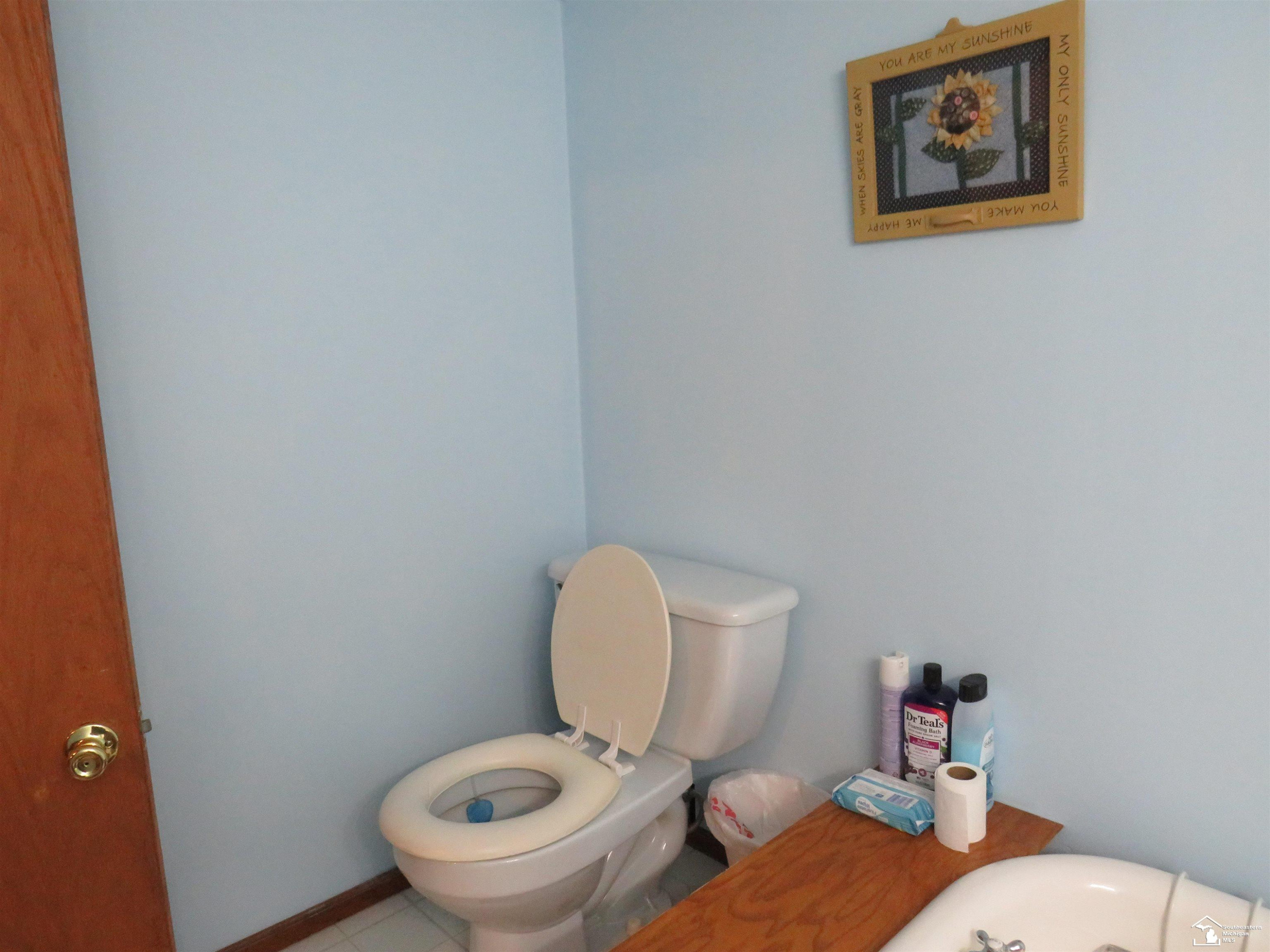 1193 Sand Lake Highway, Onsted, MI 49265 — Photo 25