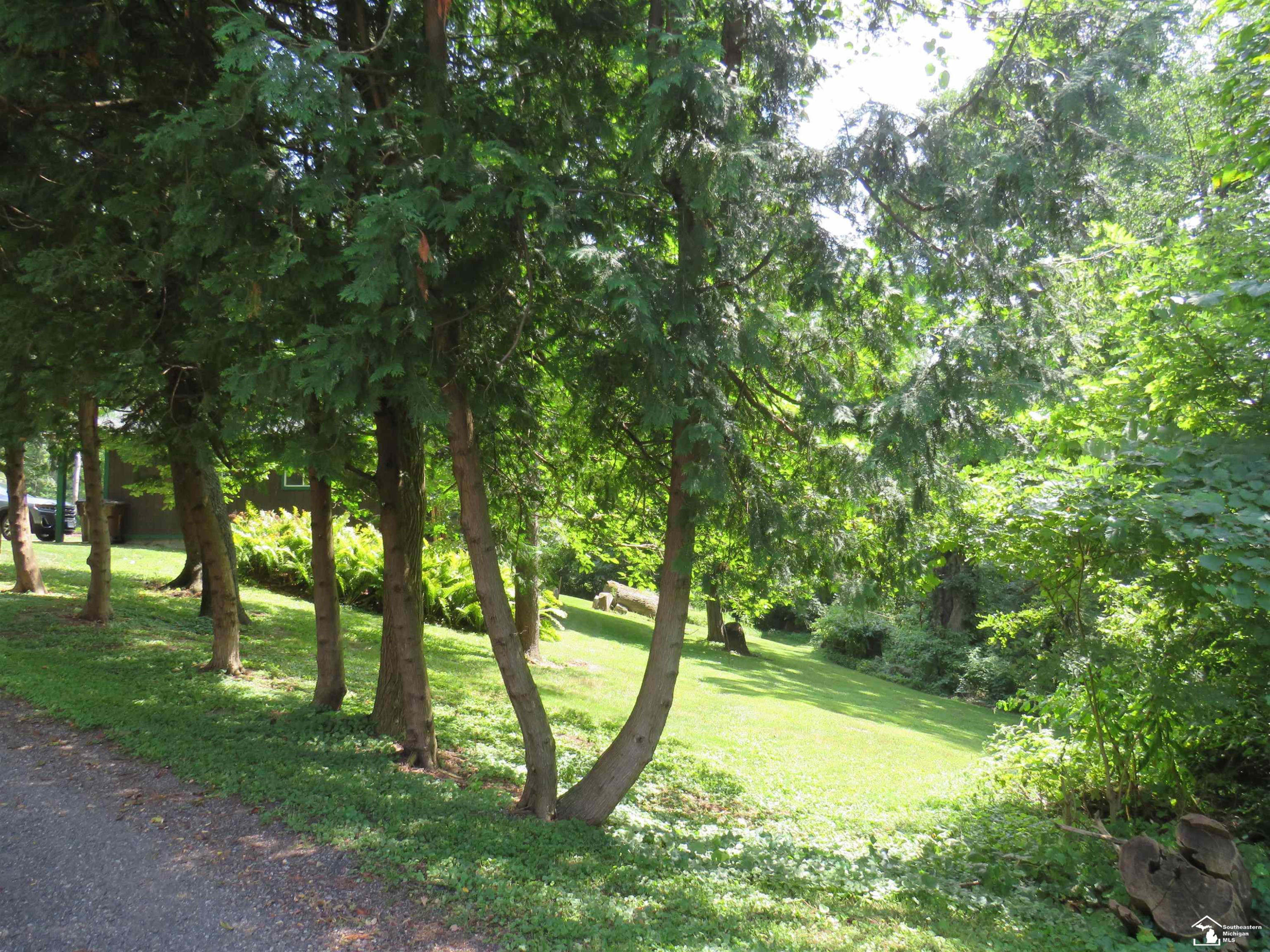 1193 Sand Lake Highway, Onsted, MI 49265 — Photo 38