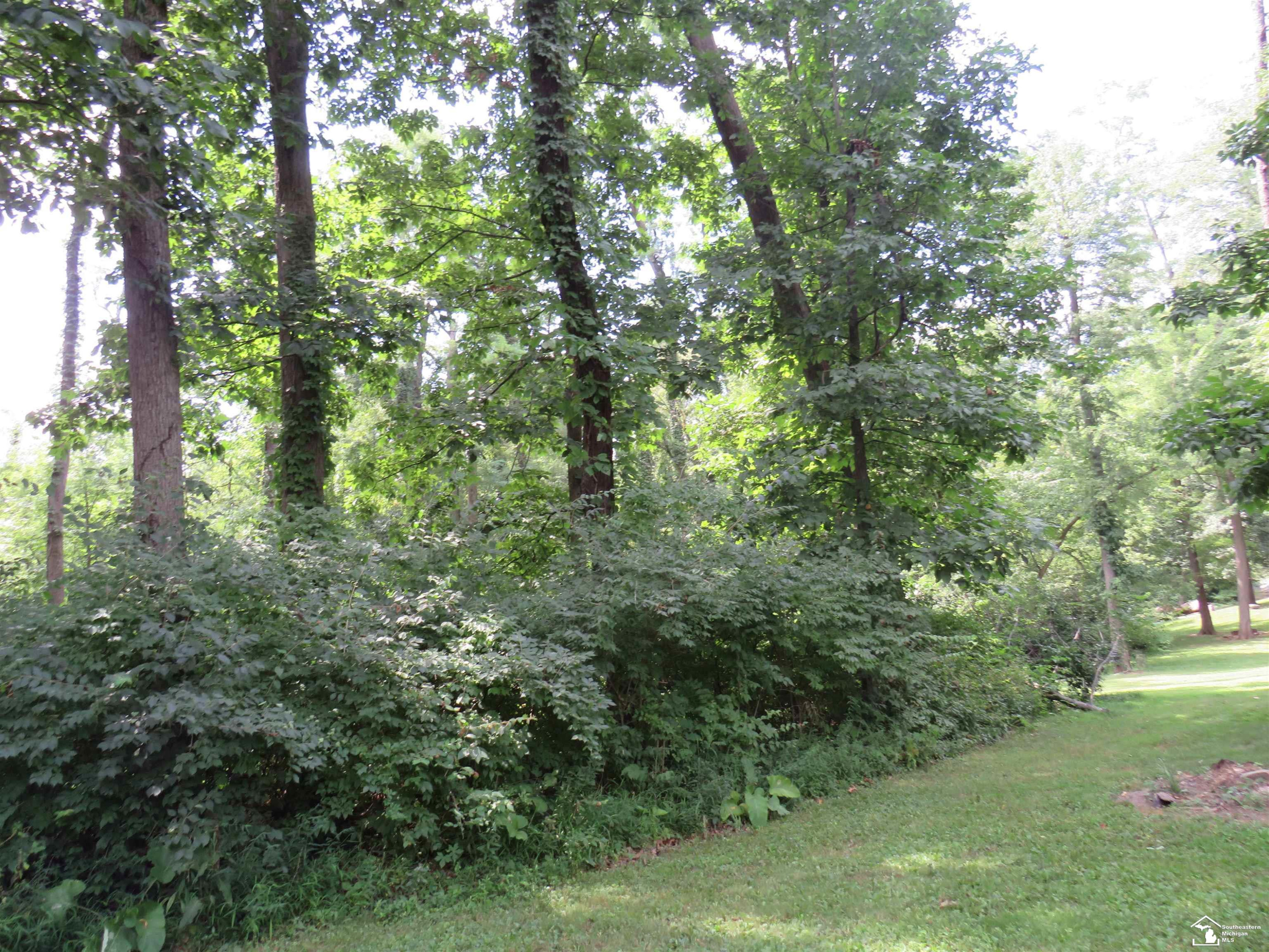 1193 Sand Lake Highway, Onsted, MI 49265 — Photo 39
