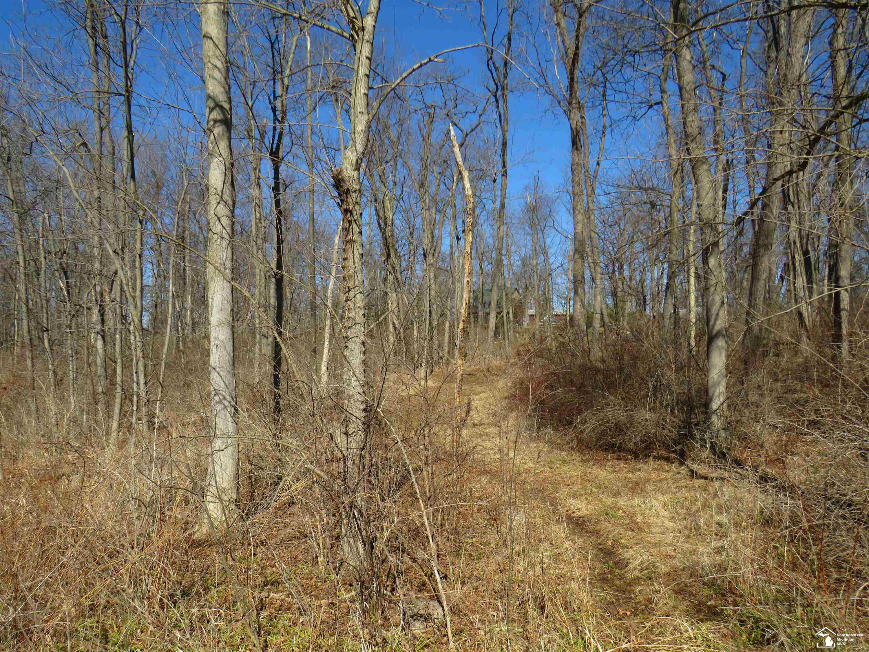 1193 Sand Lake Highway, Onsted, MI 49265 — Photo 4