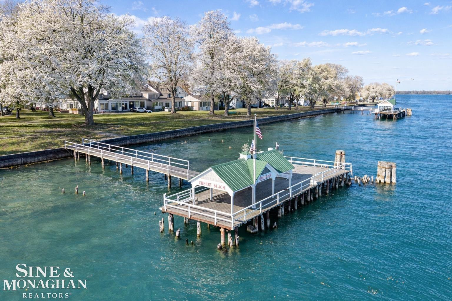 465 Louis Avenue, MI — Photo 49
