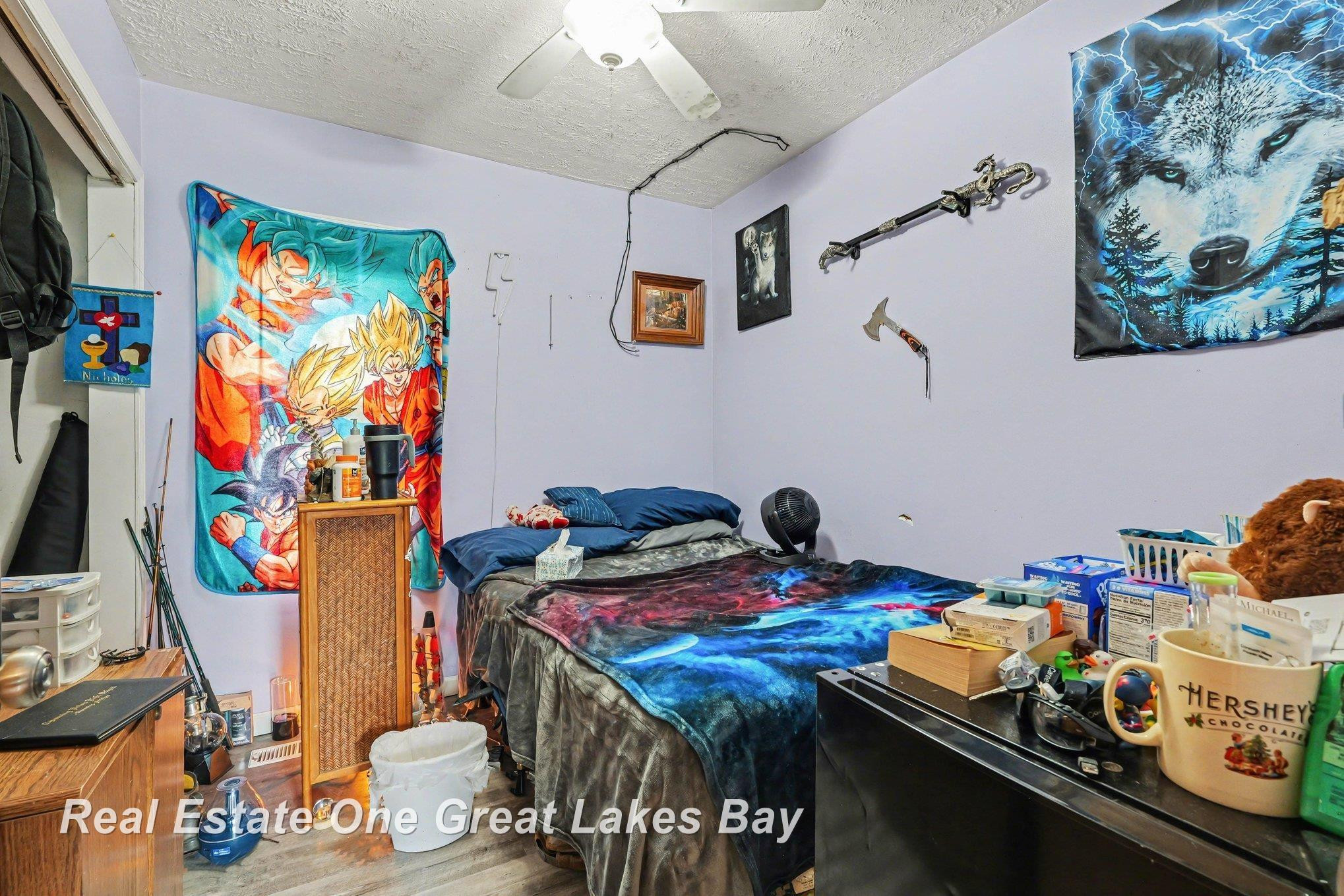 621 W Hosmer Street, Saint Charles, MI 48655 — Photo 10