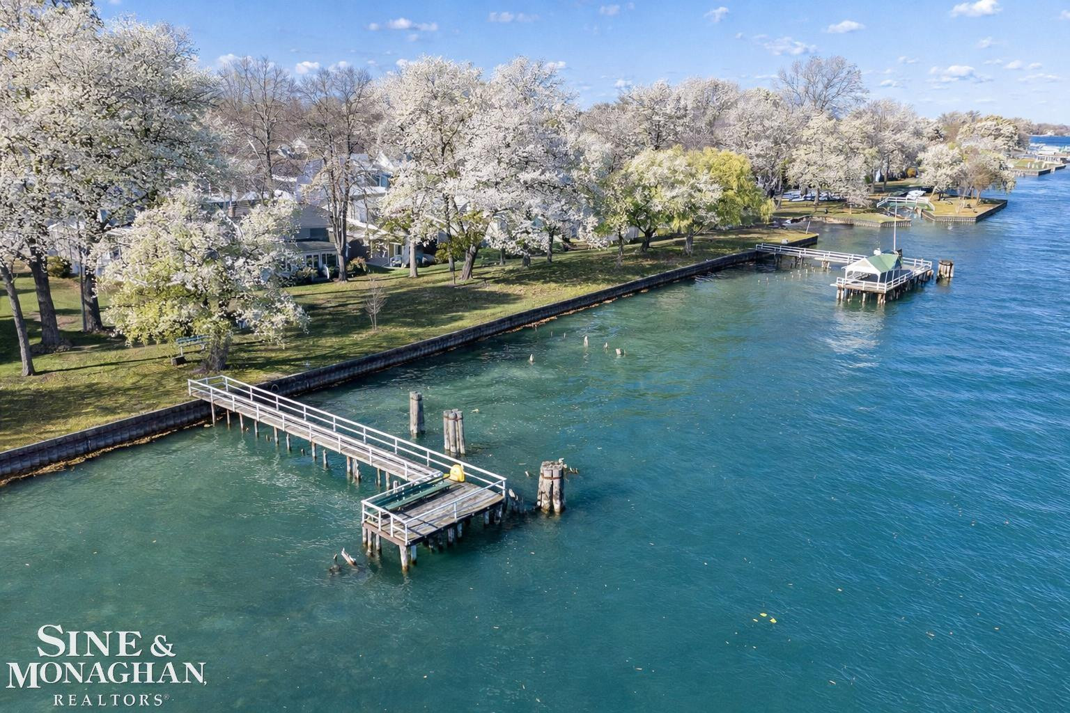 465 Louis Avenue, MI — Photo 58