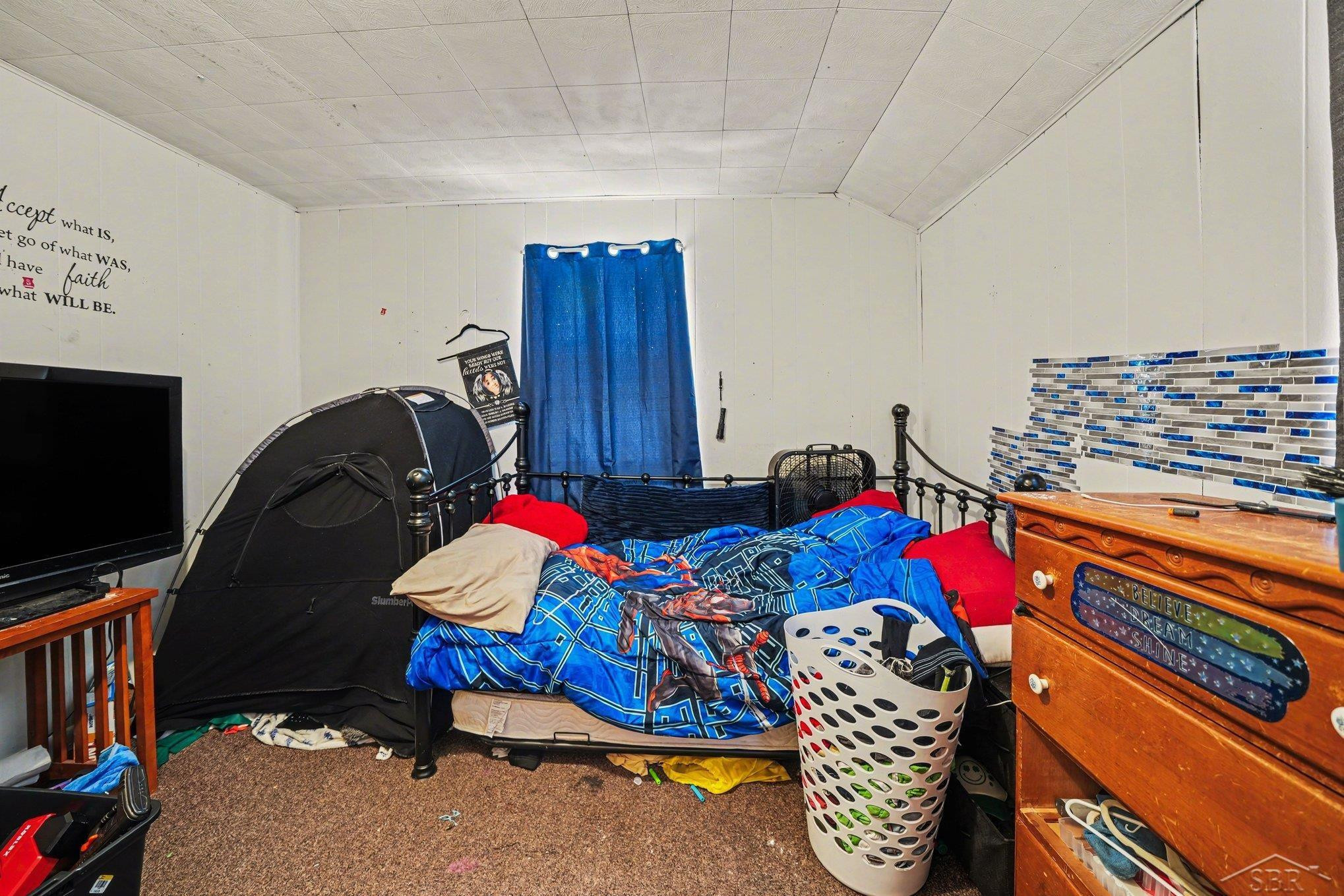 123 S Cayuga Street, Buchanan, MI 49107 — Photo 13