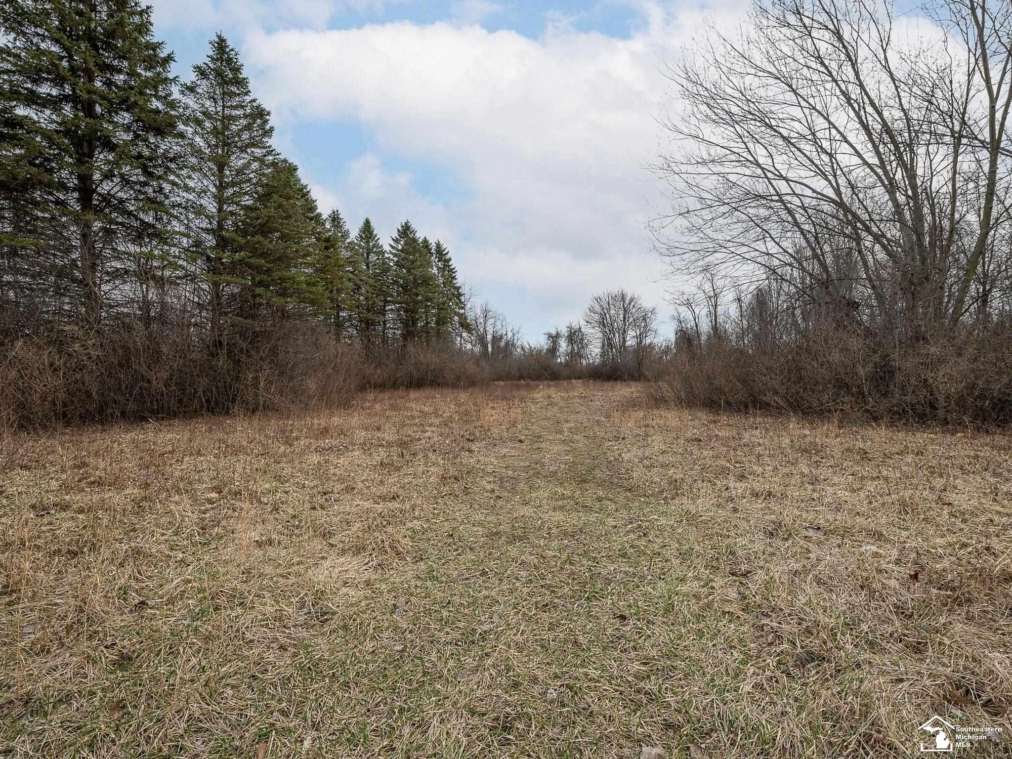 3001 Yargerville Road, La Salle, MI — Photo 31