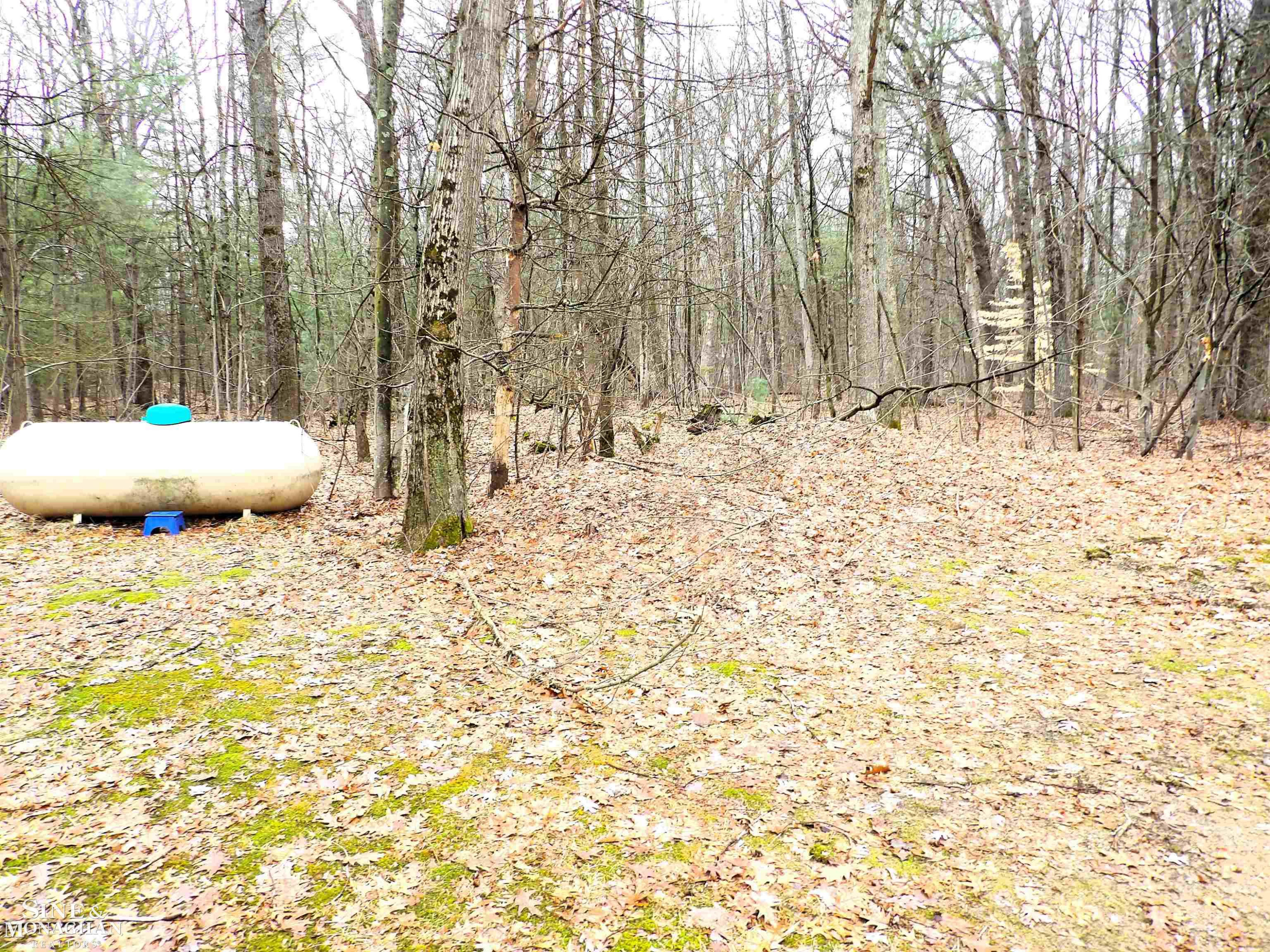 2051 W Parklane Road, White Cloud, MI 49349 — Photo 48
