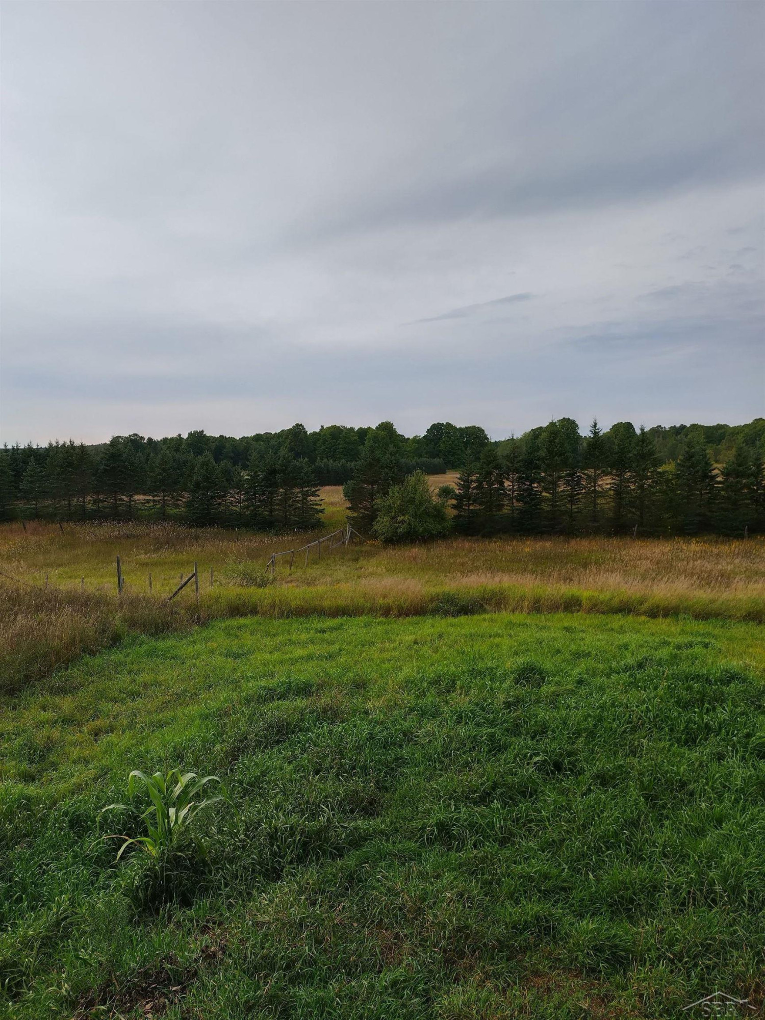 8732 Finnegan Road, Johannesburg, MI 49751 — Photo 21
