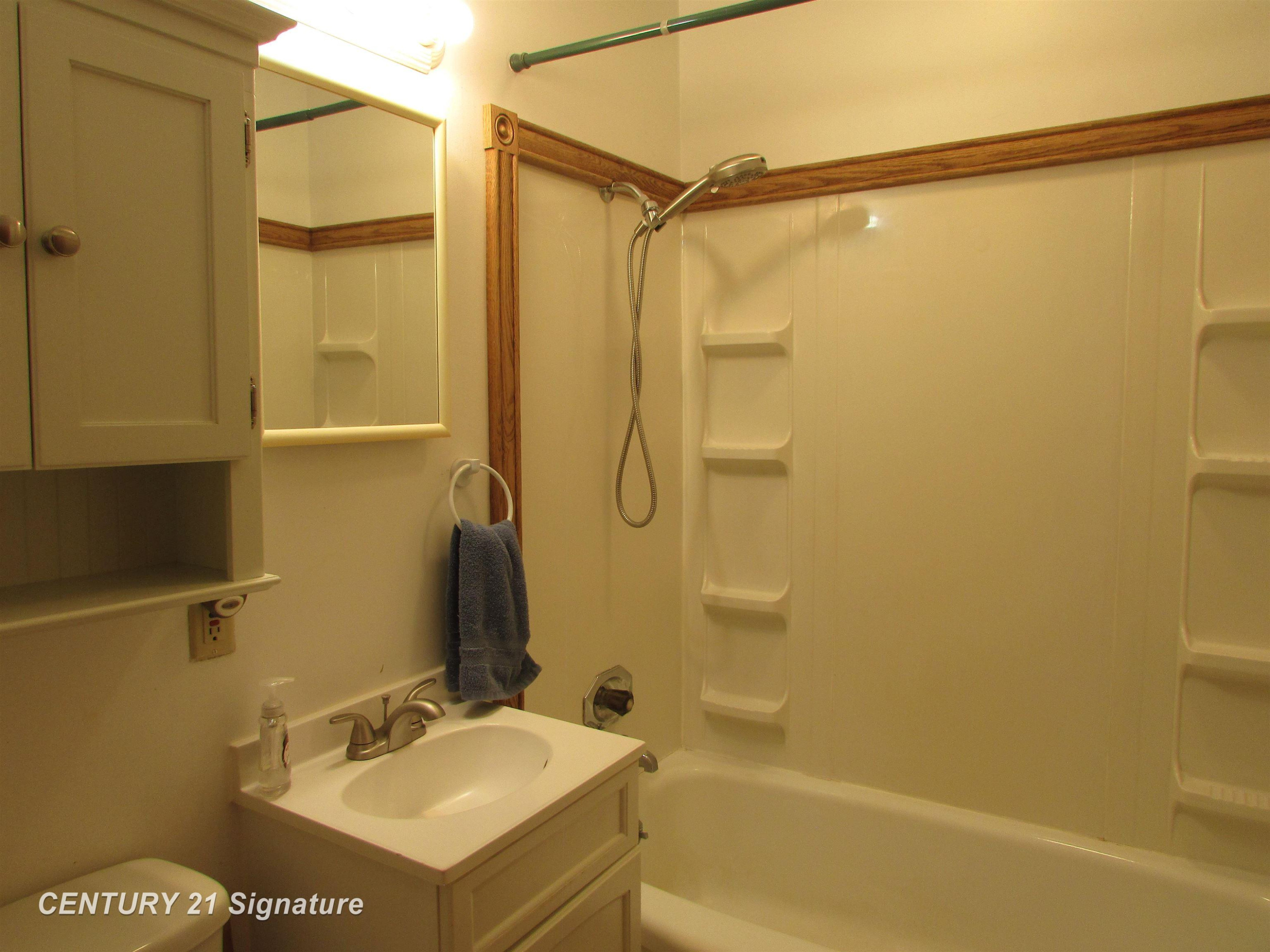 286 Church Street, Freeland, MI 48623 — Photo 13