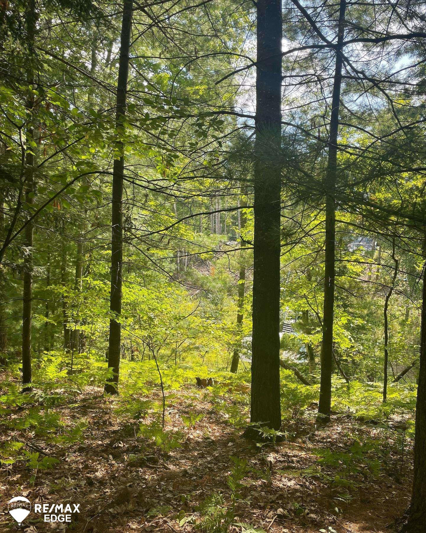 0 Eagle Nest Lane, Alger, MI 48610