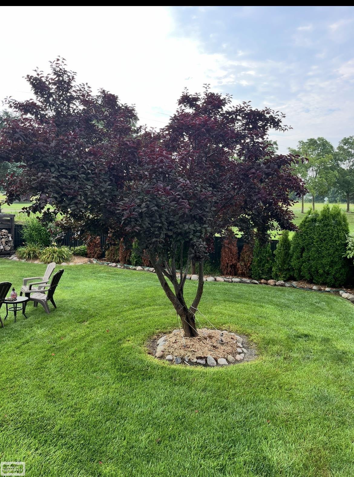 36779 N Pointe Cir Street, New Baltimore, MI 48047 — Photo 43