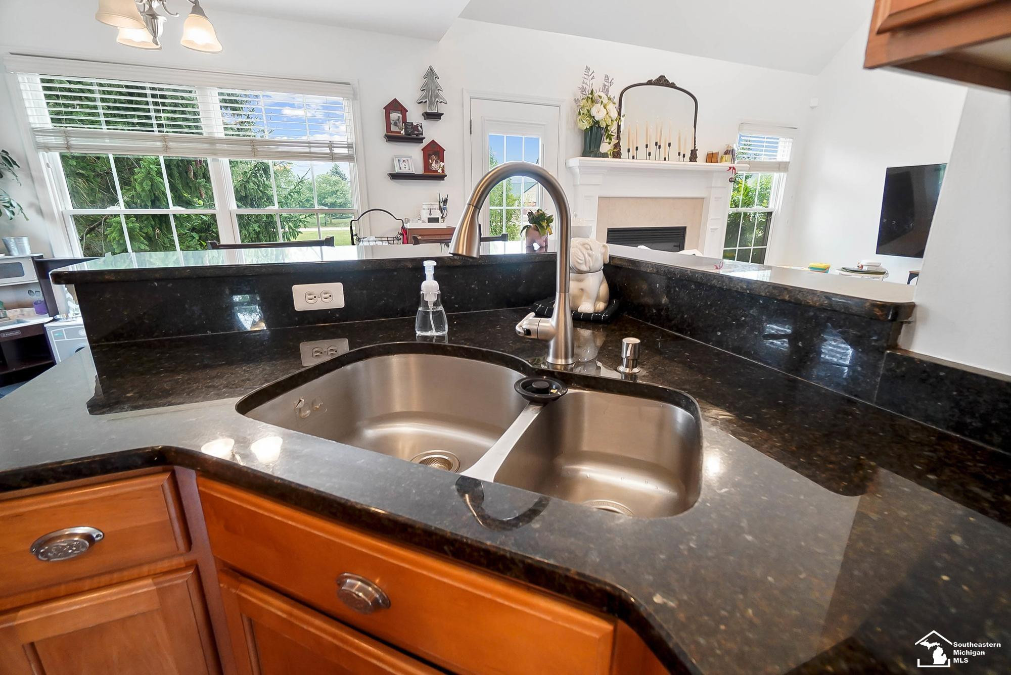217 Potterstone Drive, Dundee, MI 48131 — Photo 9