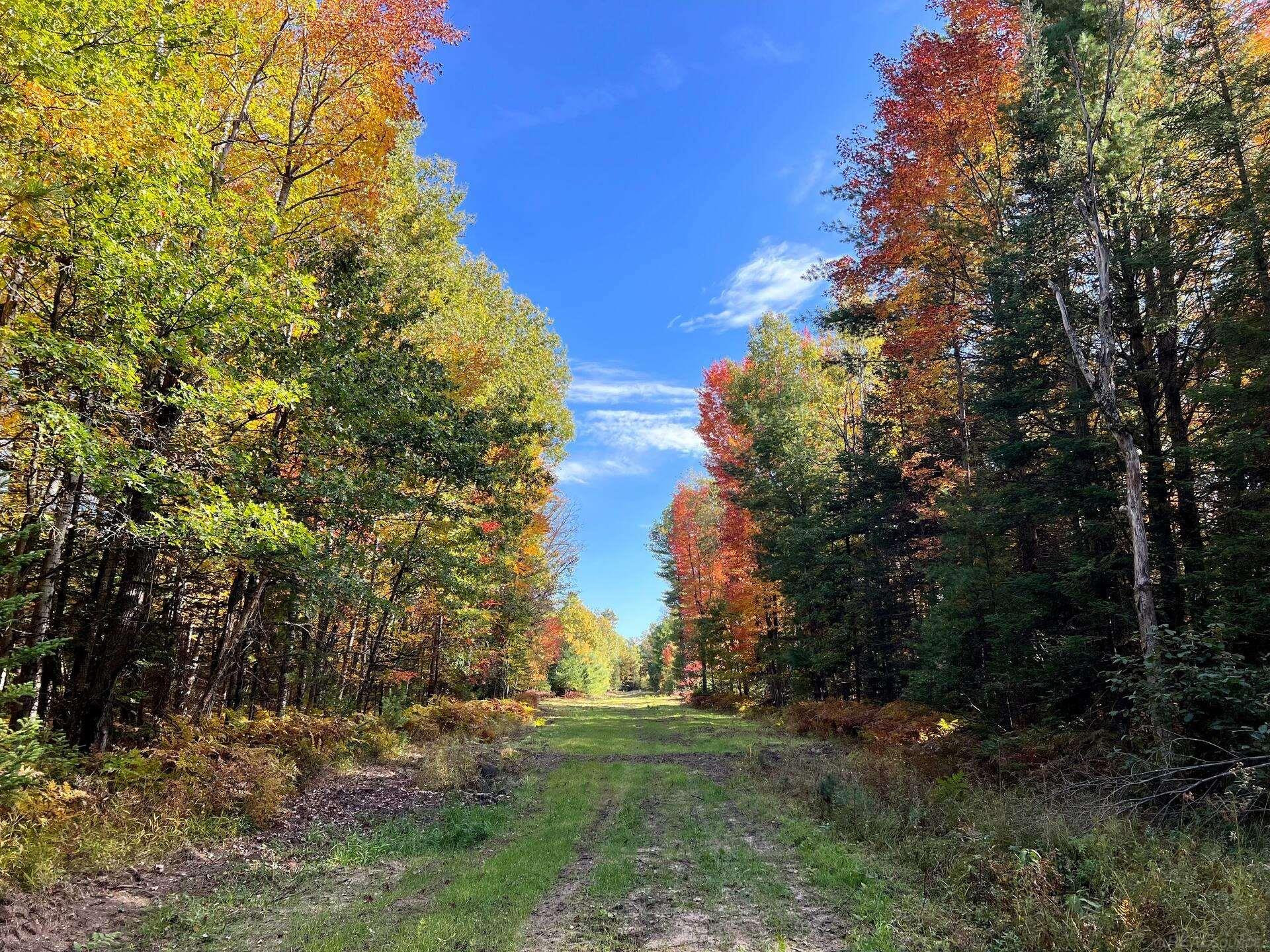 11475 Billman Rd Road, Roscommon, MI 48653 — Photo 19