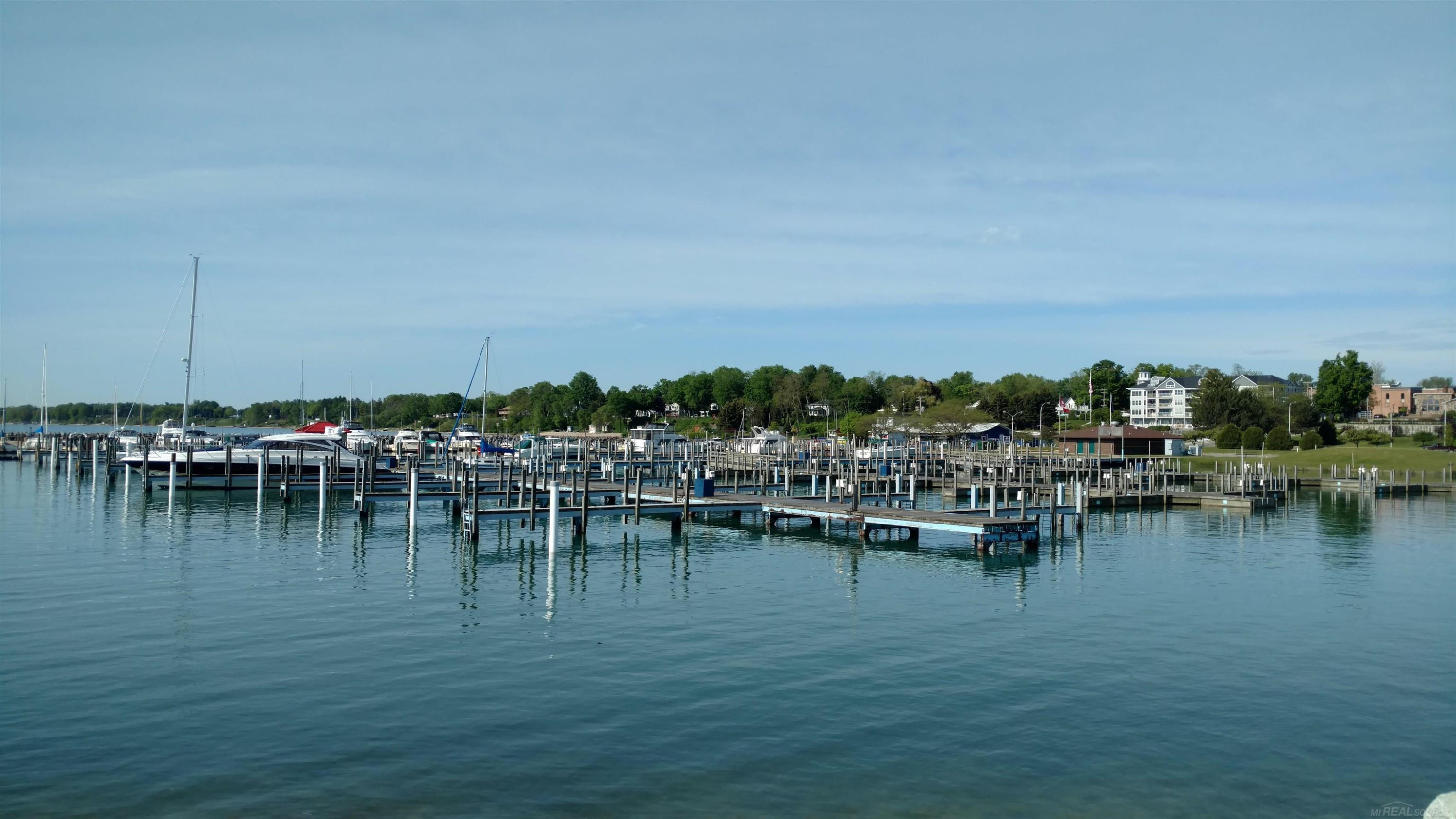 V/L Sunset Blvd. Boulevard, Lexington, MI 48450 — Photo 12