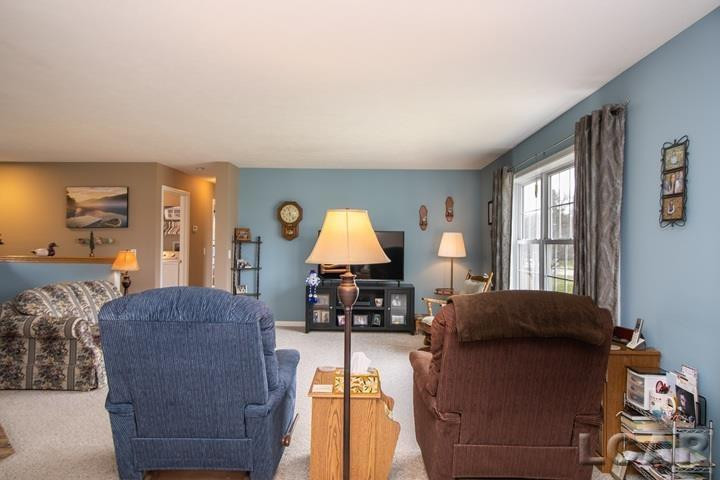 4703 Treat Highway, Adrian, MI 49221 — Photo 19