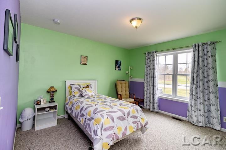 4703 Treat Highway, Adrian, MI 49221 — Photo 39