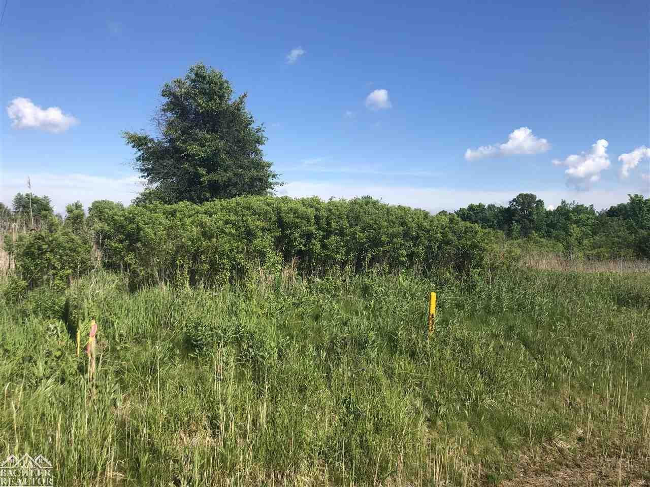 Wadhams Road, MI 48079 — front exterior