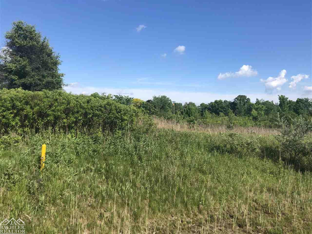 Wadhams Road, MI 48079 — Photo 2