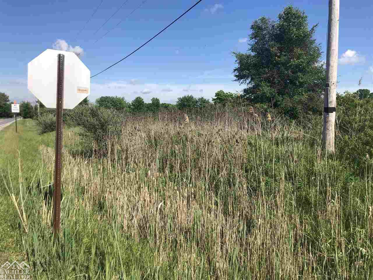 Wadhams Road, MI 48079 — Photo 3