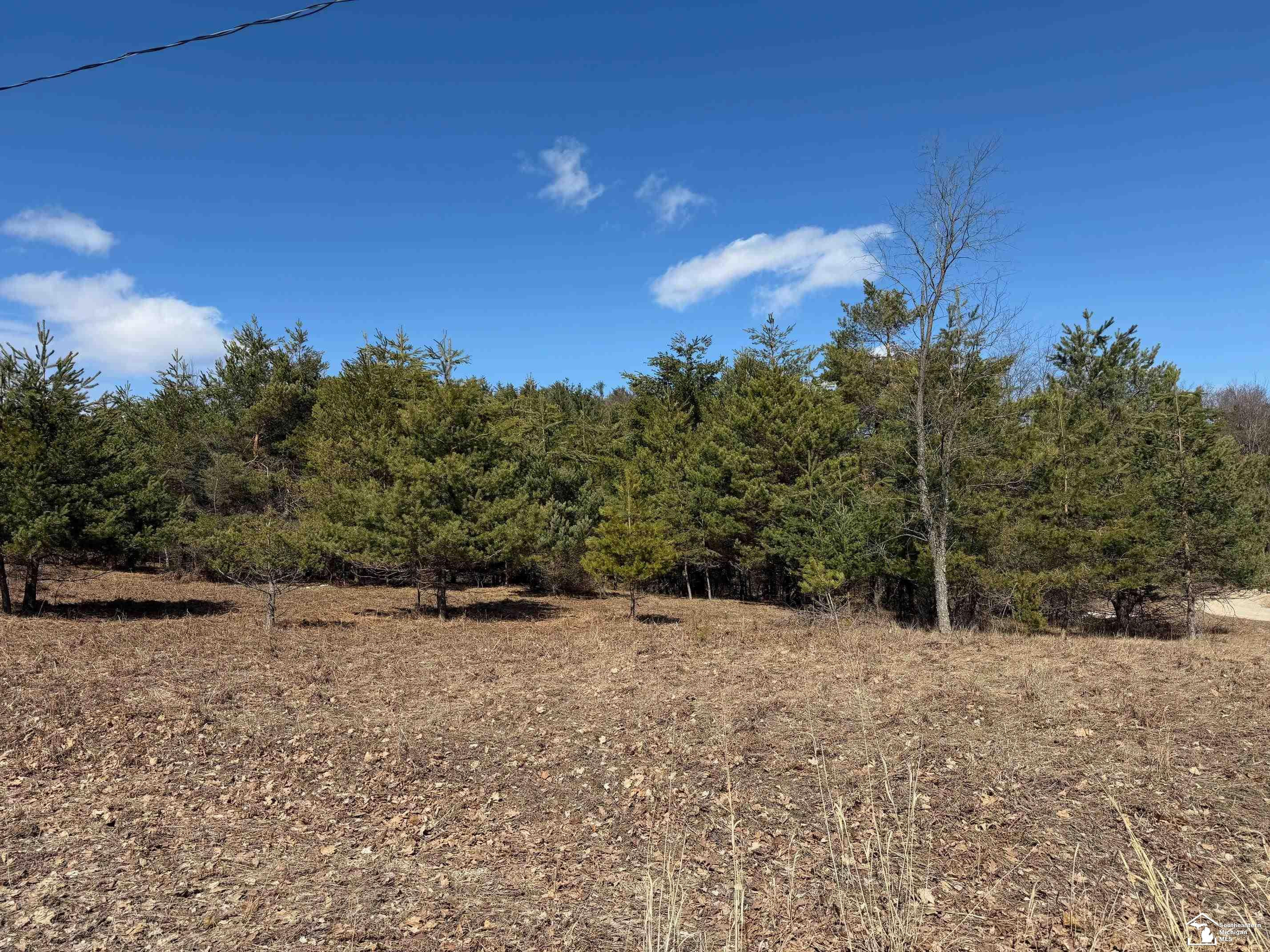 VL Lot 184 Chippewa Trail Trail, Evart, MI 49631 — front exterior