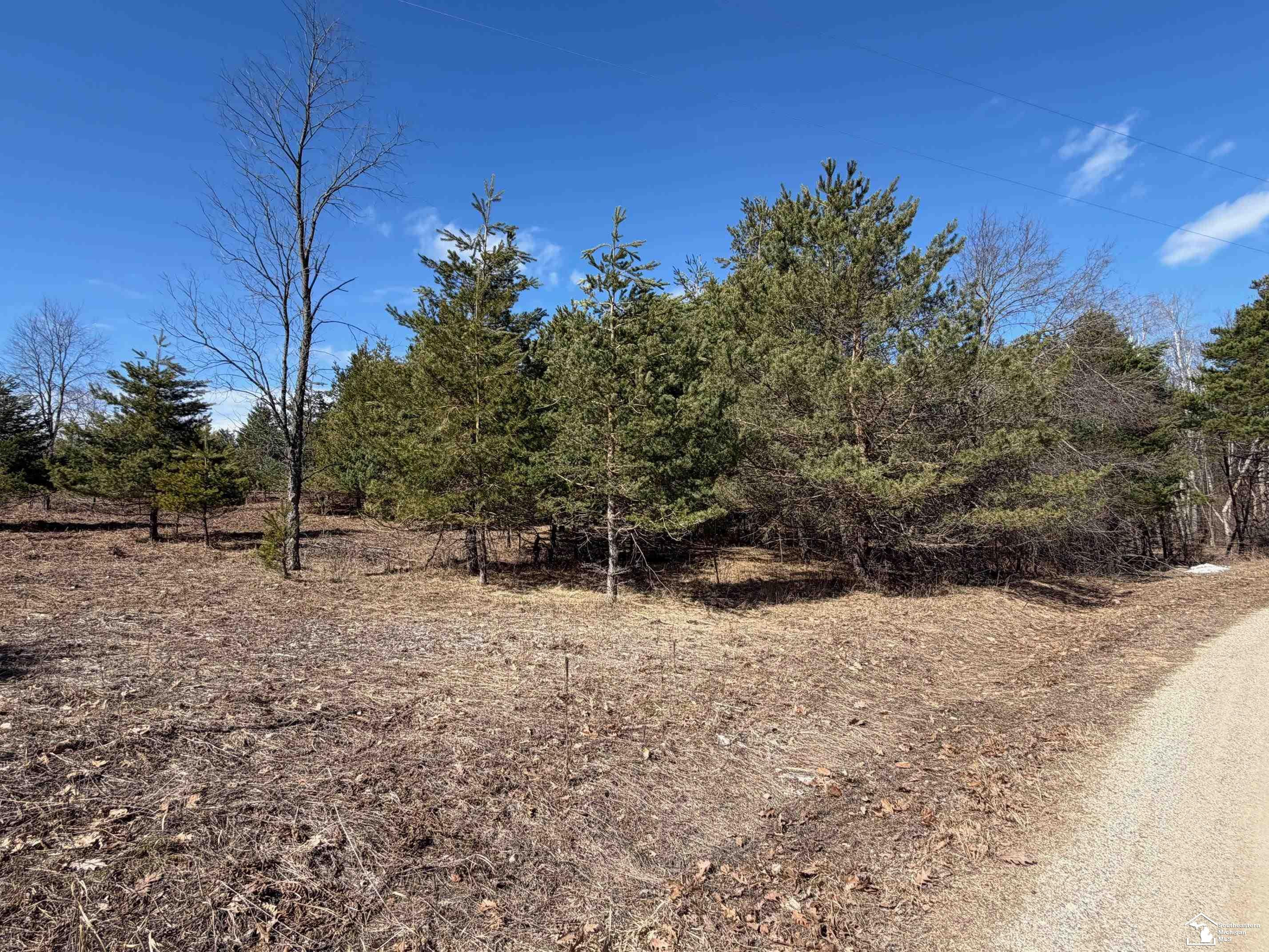 VL Lot 184 Chippewa Trail Trail, Evart, MI 49631 — Photo 2