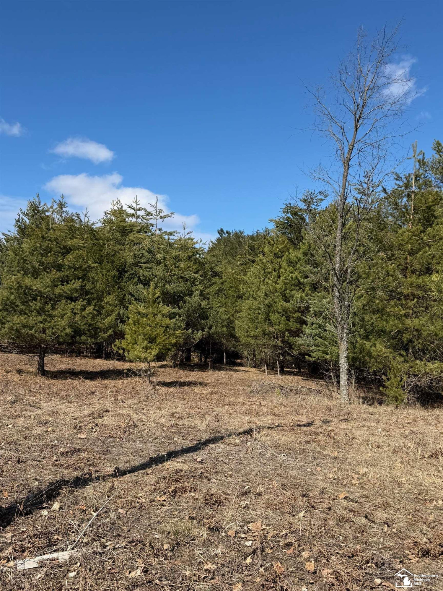 VL Lot 184 Chippewa Trail Trail, Evart, MI 49631 — Photo 3