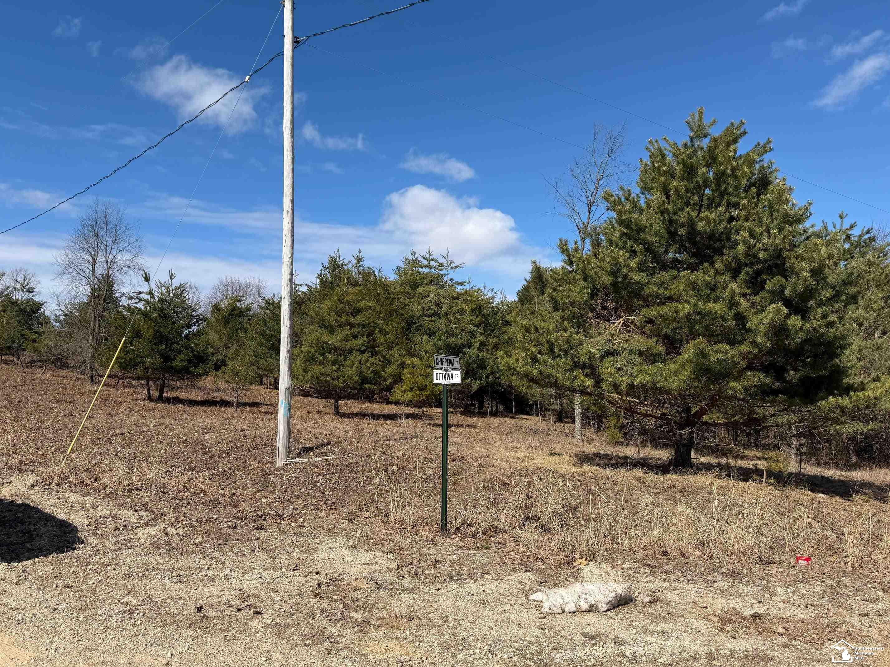 VL Lot 184 Chippewa Trail Trail, Evart, MI 49631 — Photo 4