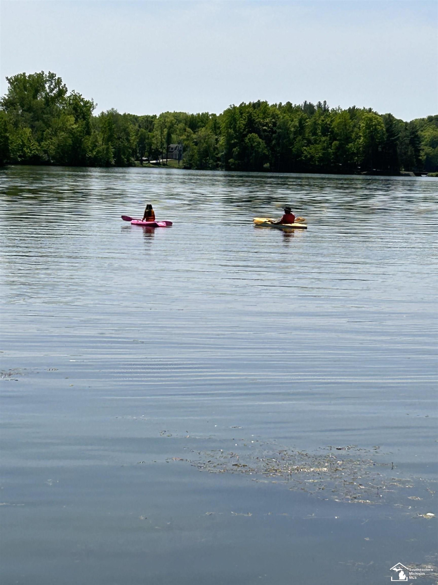 VL Lot 184 Chippewa Trail Trail, Evart, MI 49631 — Photo 6