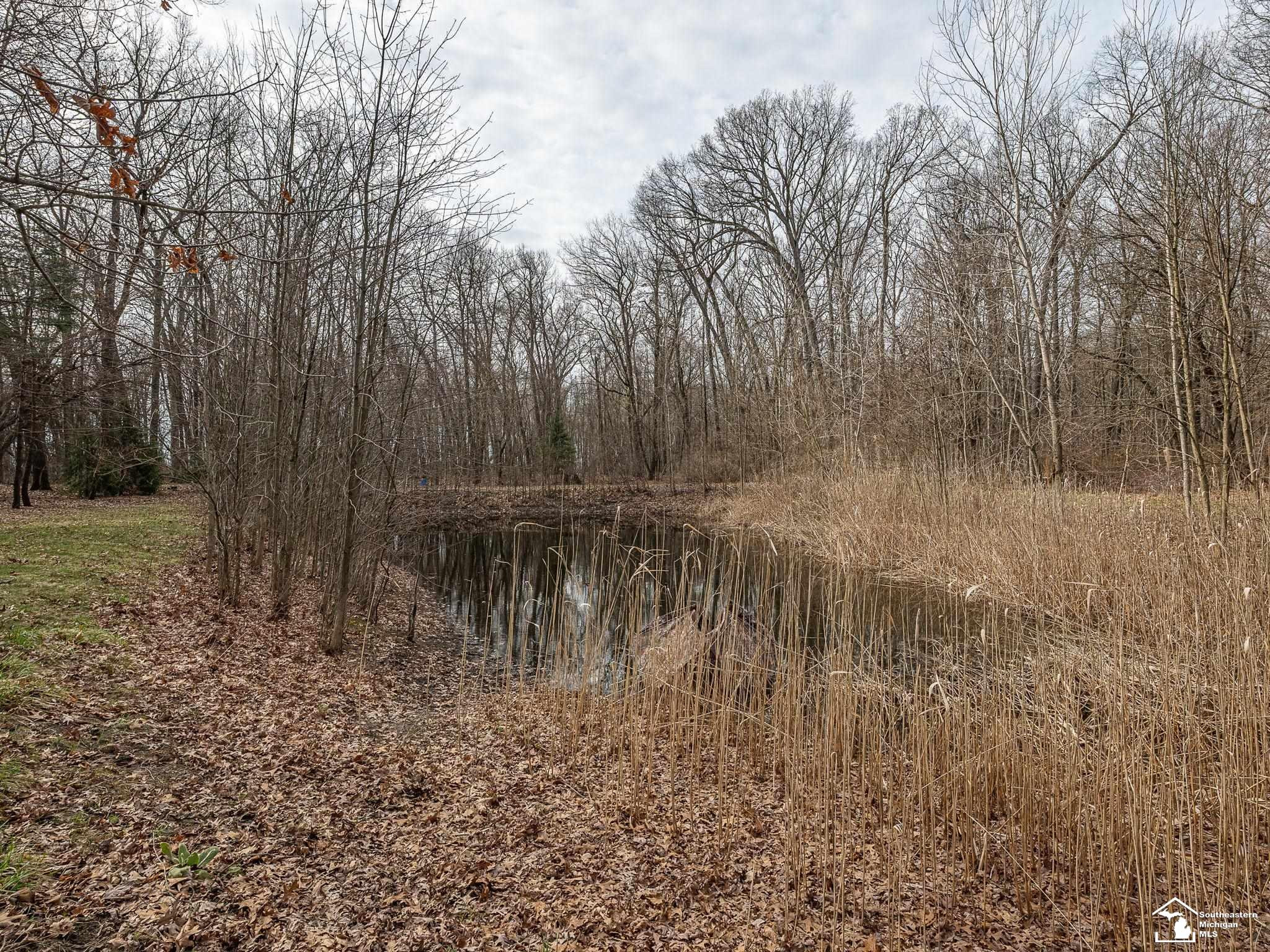 20599 Ida Center Road, Deerfield, MI 49238 — Photo 36