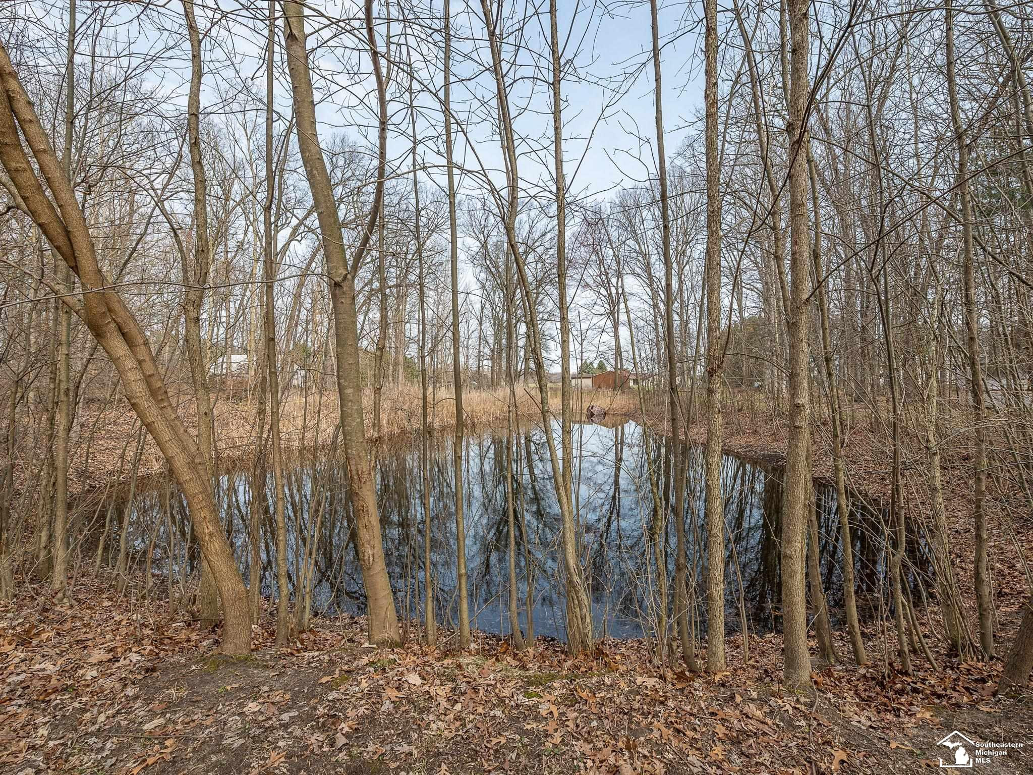 20599 Ida Center Road, Deerfield, MI 49238 — Photo 37