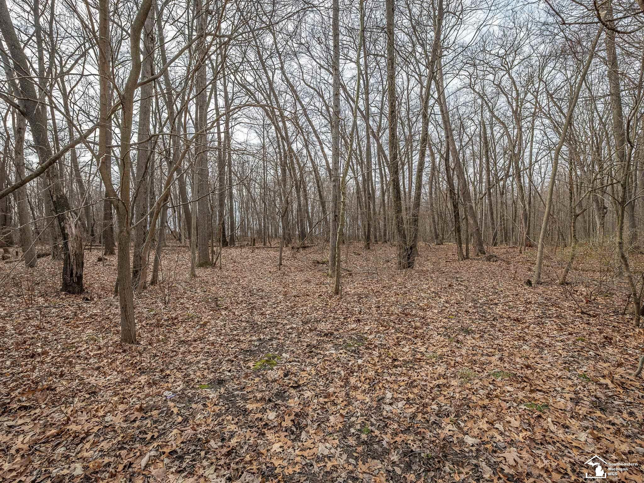 20599 Ida Center Road, Deerfield, MI 49238 — Photo 38