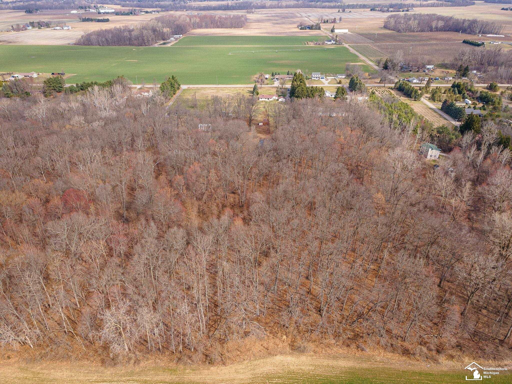 20599 Ida Center Road, Deerfield, MI 49238 — Photo 46