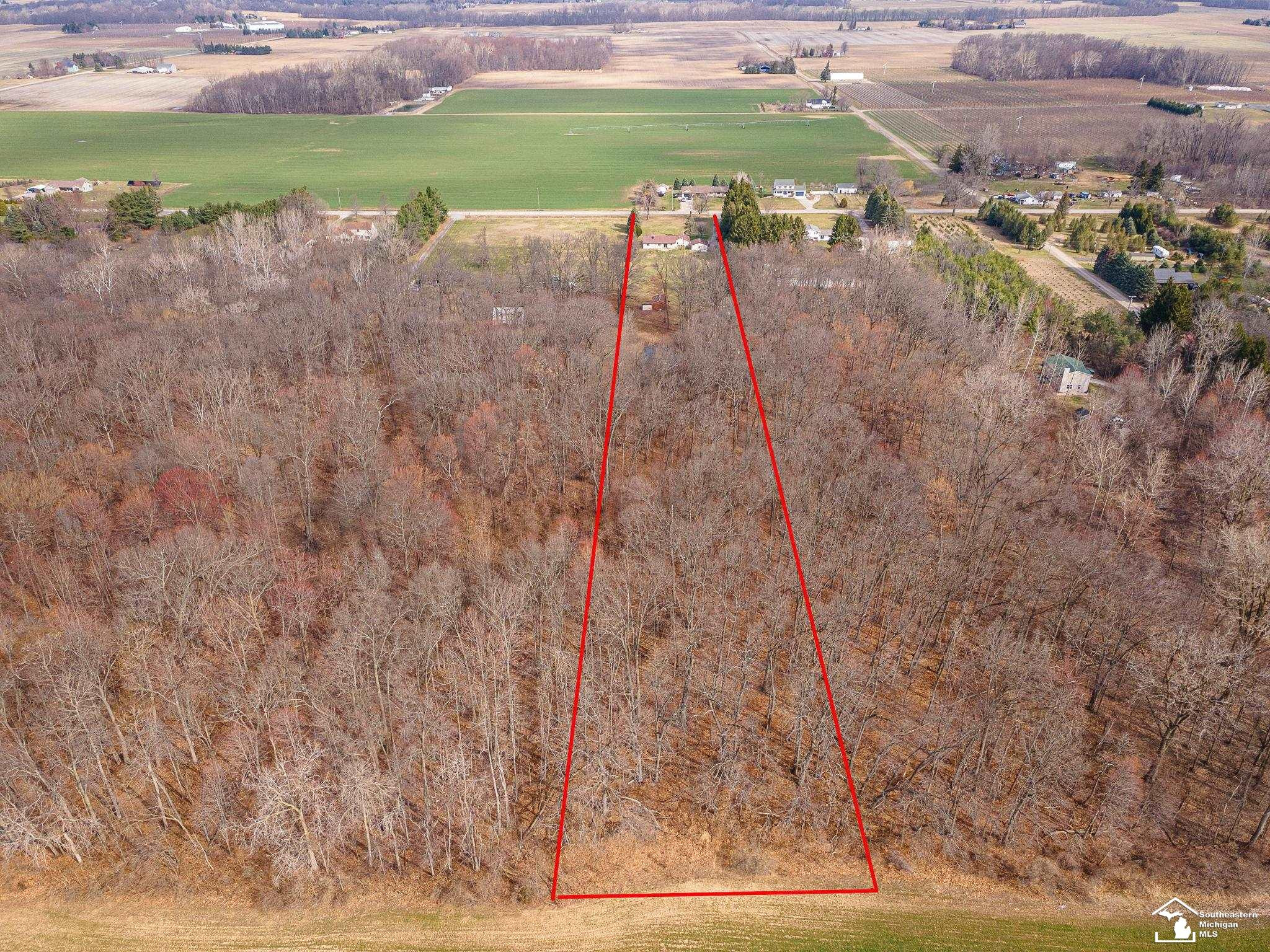 20599 Ida Center Road, Deerfield, MI 49238 — Photo 47