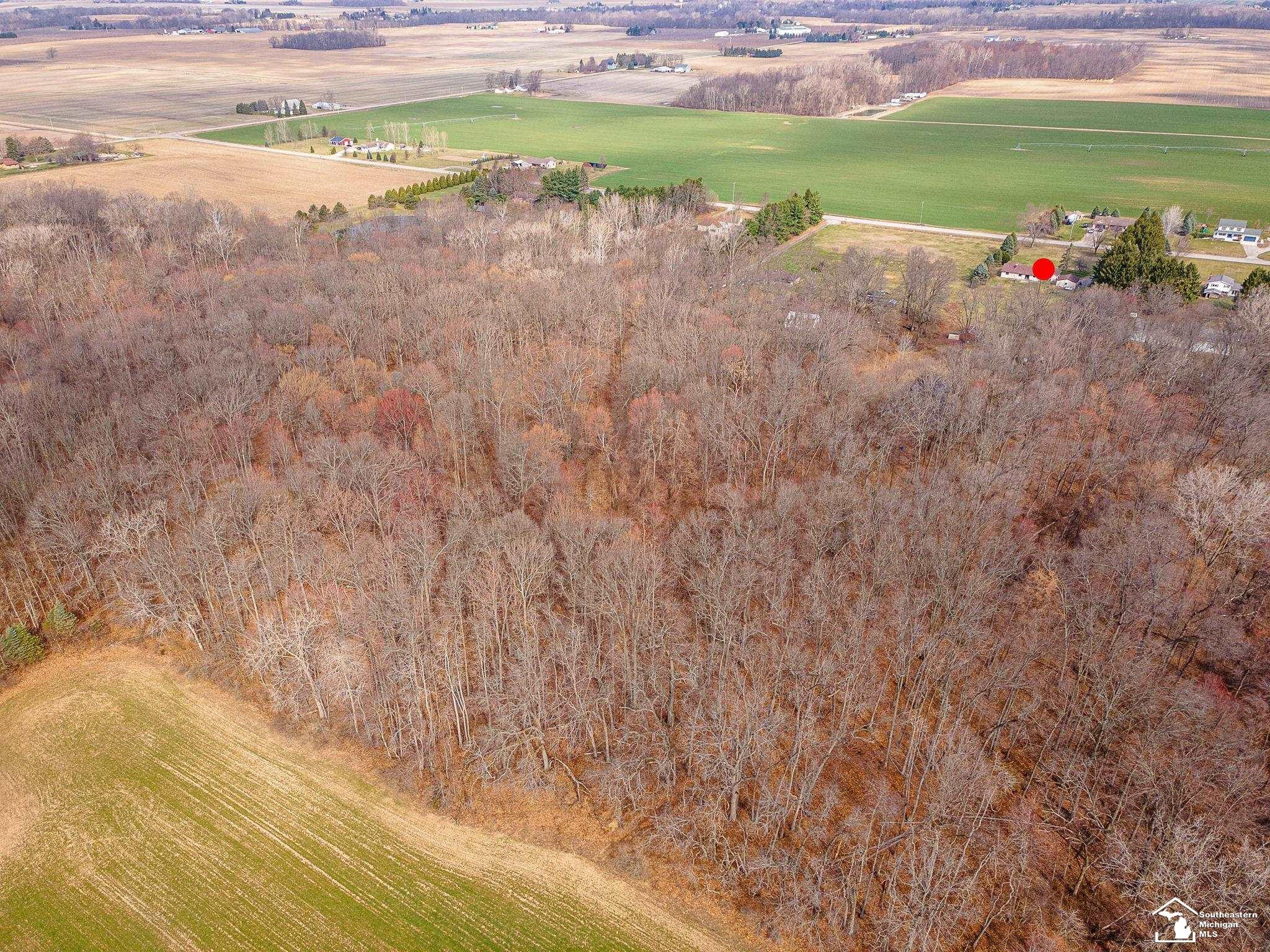 20599 Ida Center Road, Deerfield, MI 49238 — Photo 48