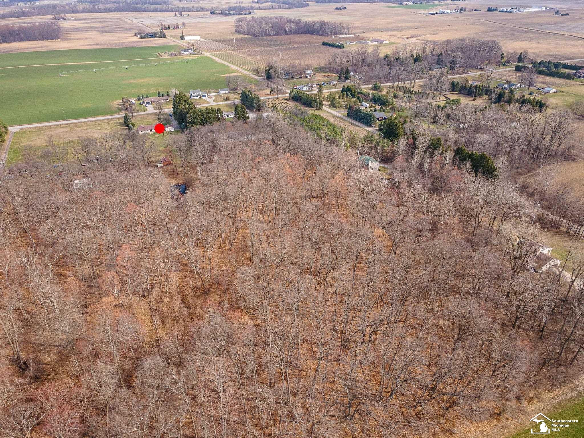 20599 Ida Center Road, Deerfield, MI 49238 — Photo 49