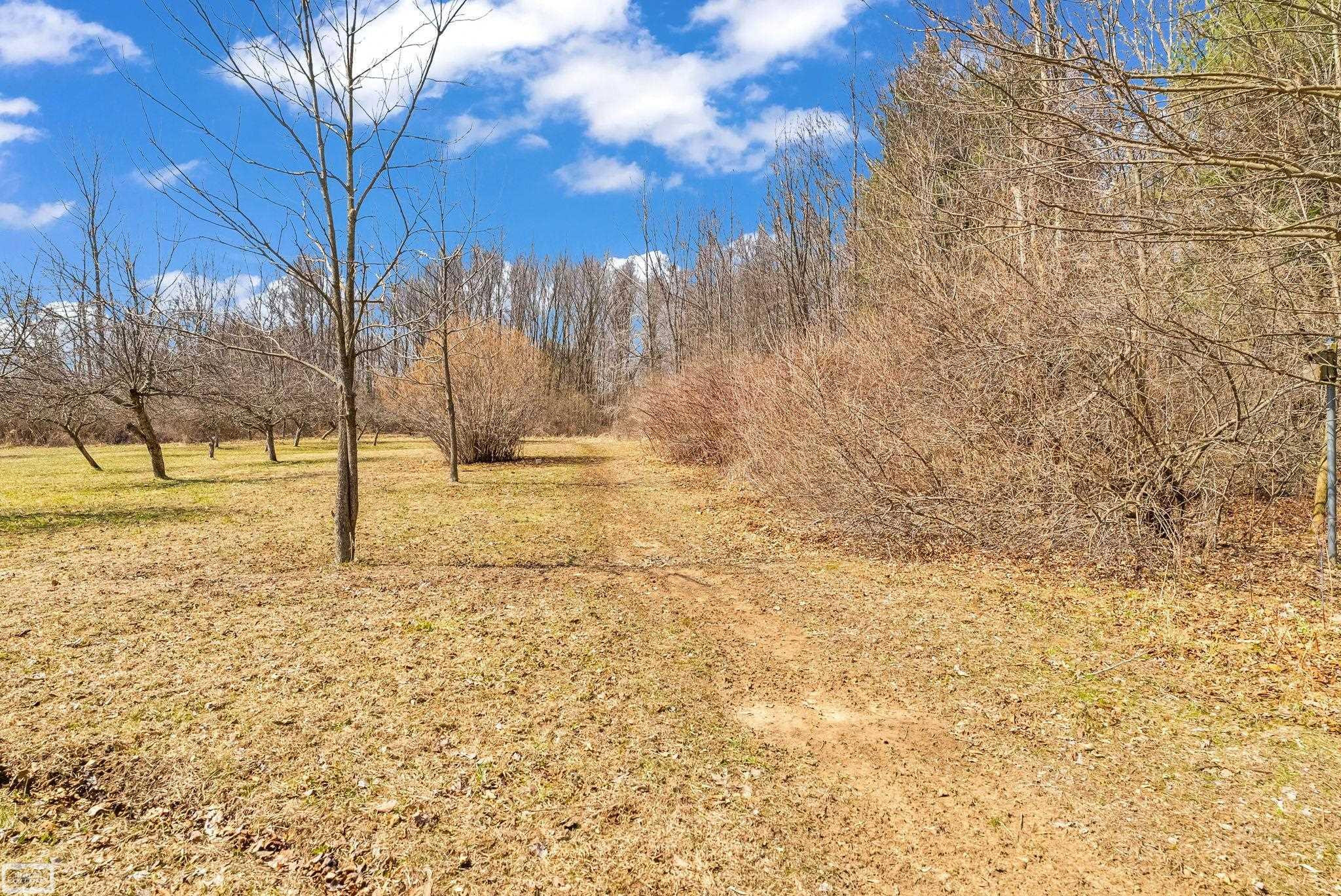 5139 Welch Road, Emmett, MI 48022 — Photo 45