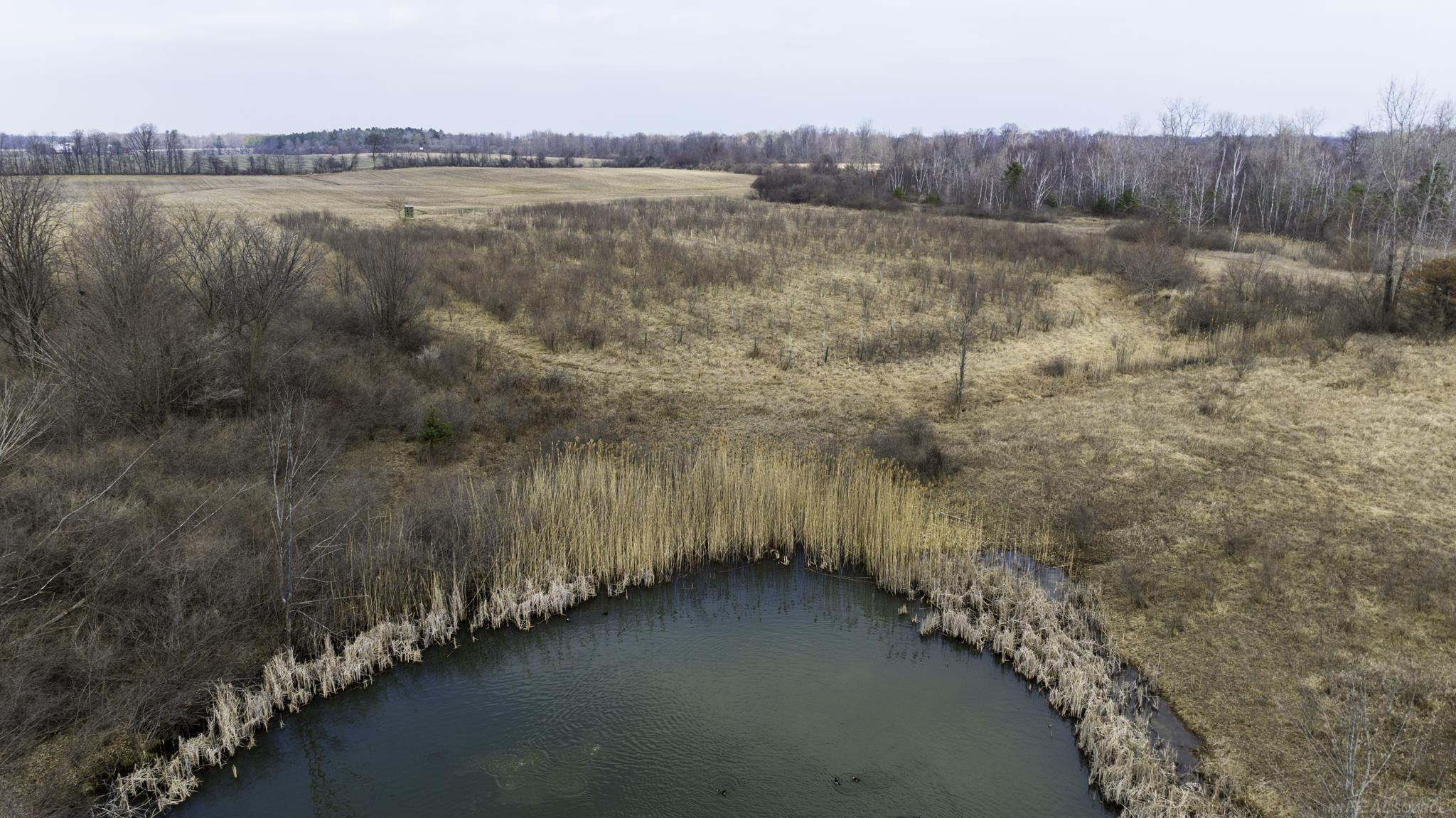 6471 Burns Line Road, Lexington, MI 48450 — Photo 10